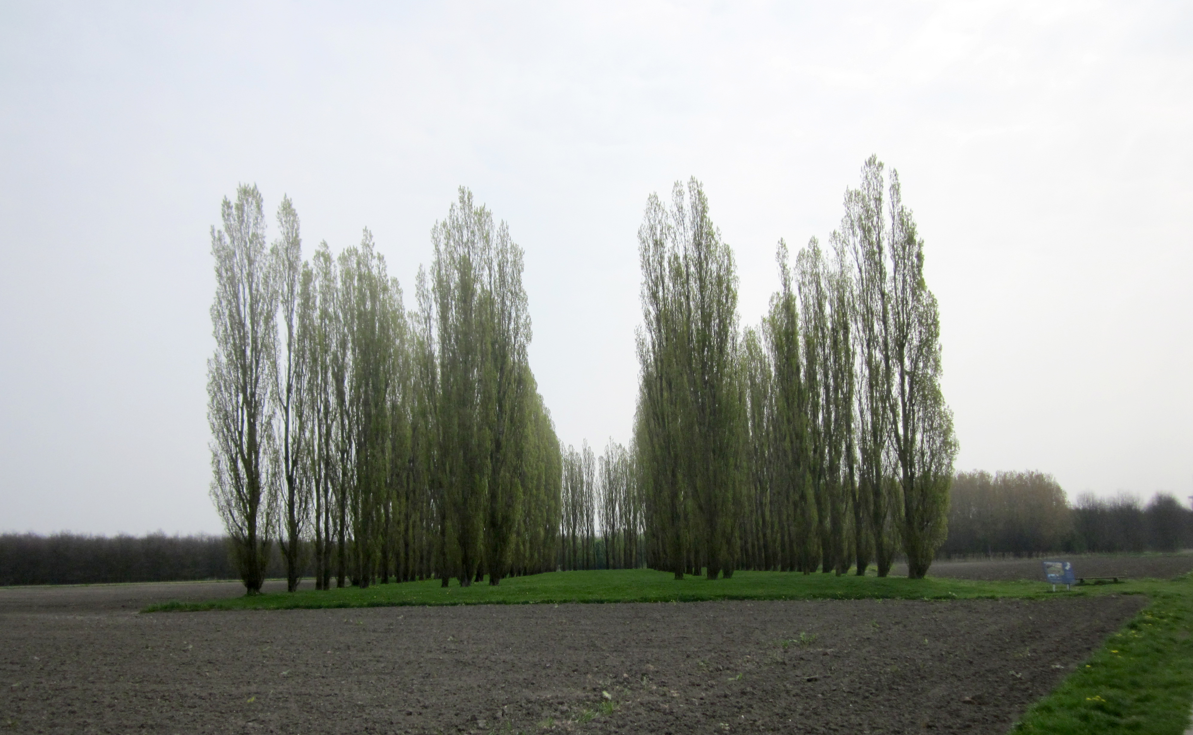 Foto van Almere