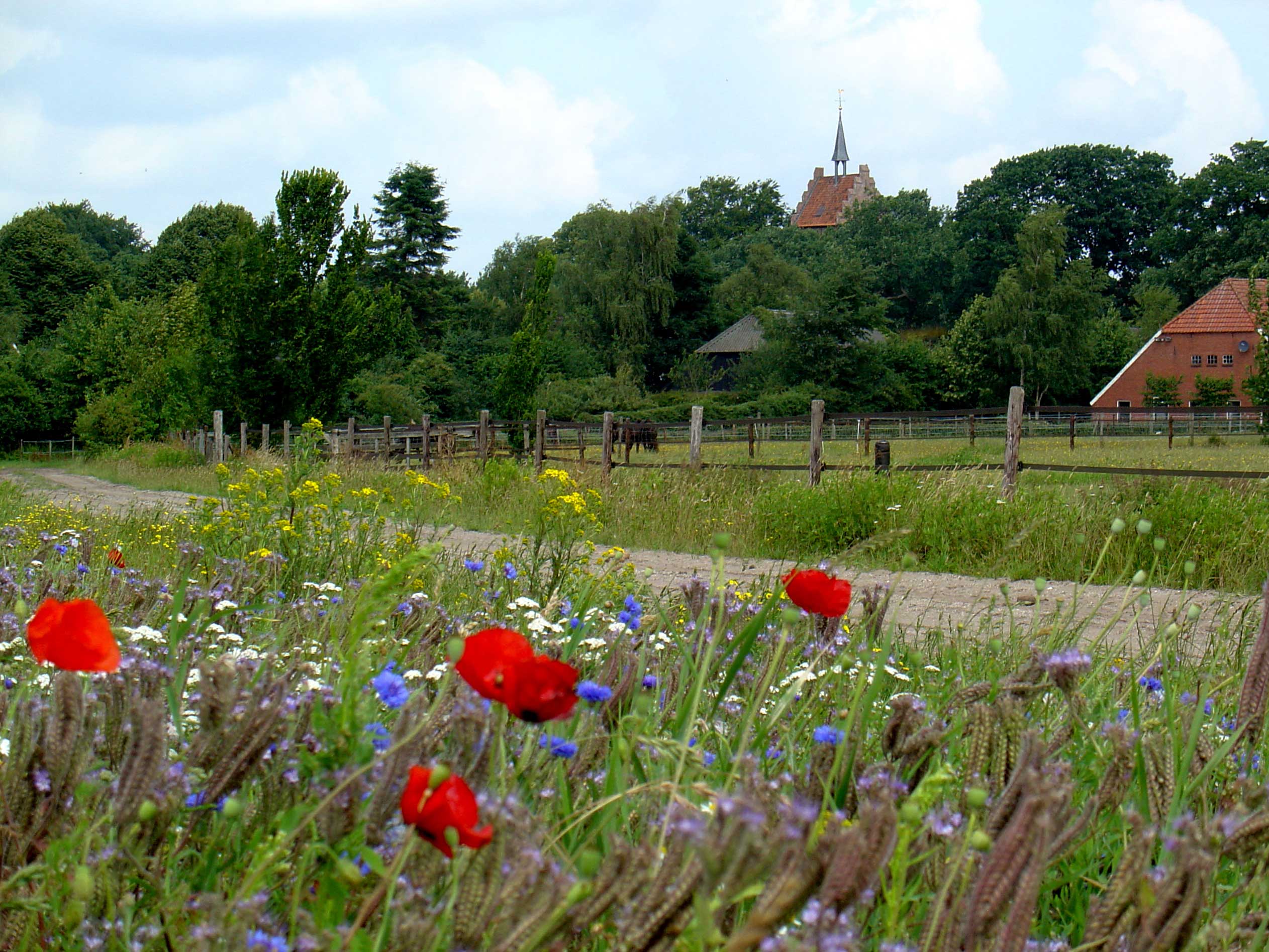 Foto van Anloo