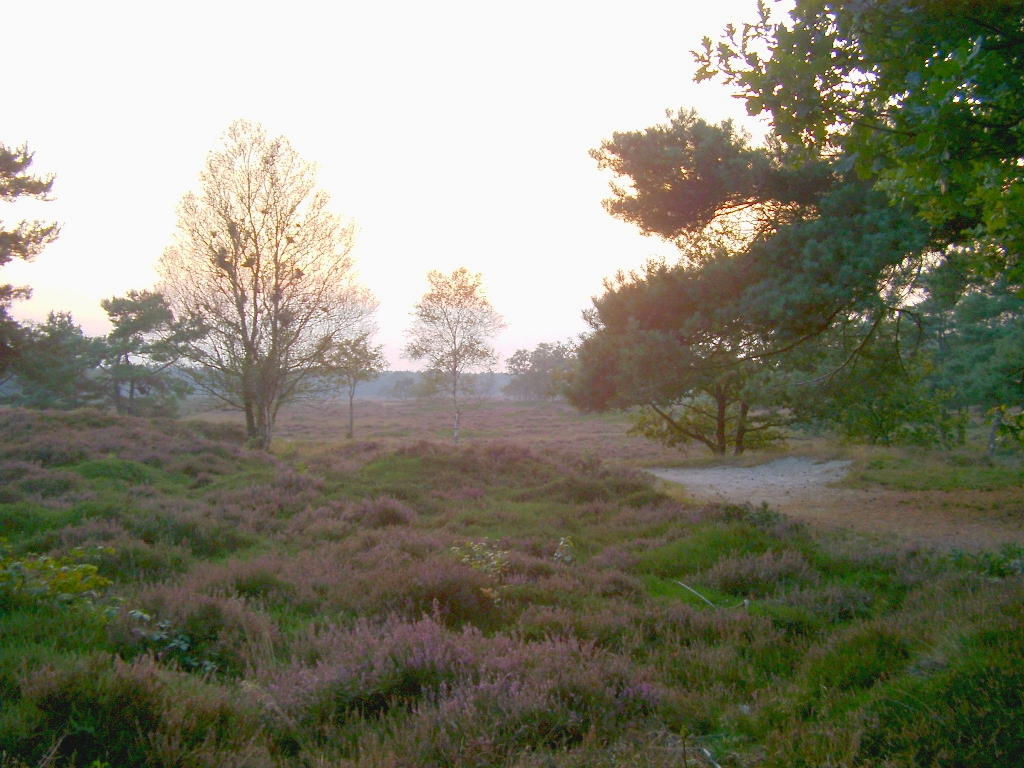 Foto van Bakkeveen