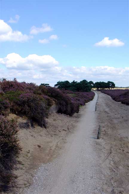 Foto van 9459 Balloërveld