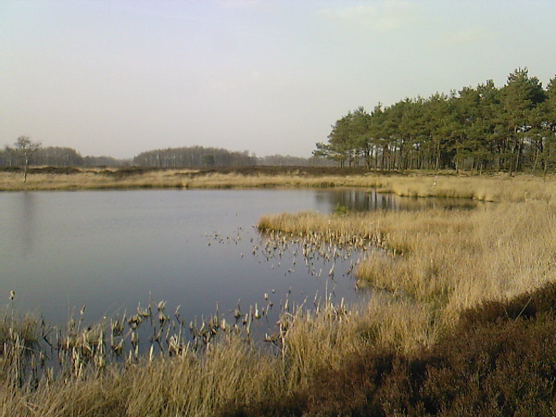 Foto van 9459 Balloërveld