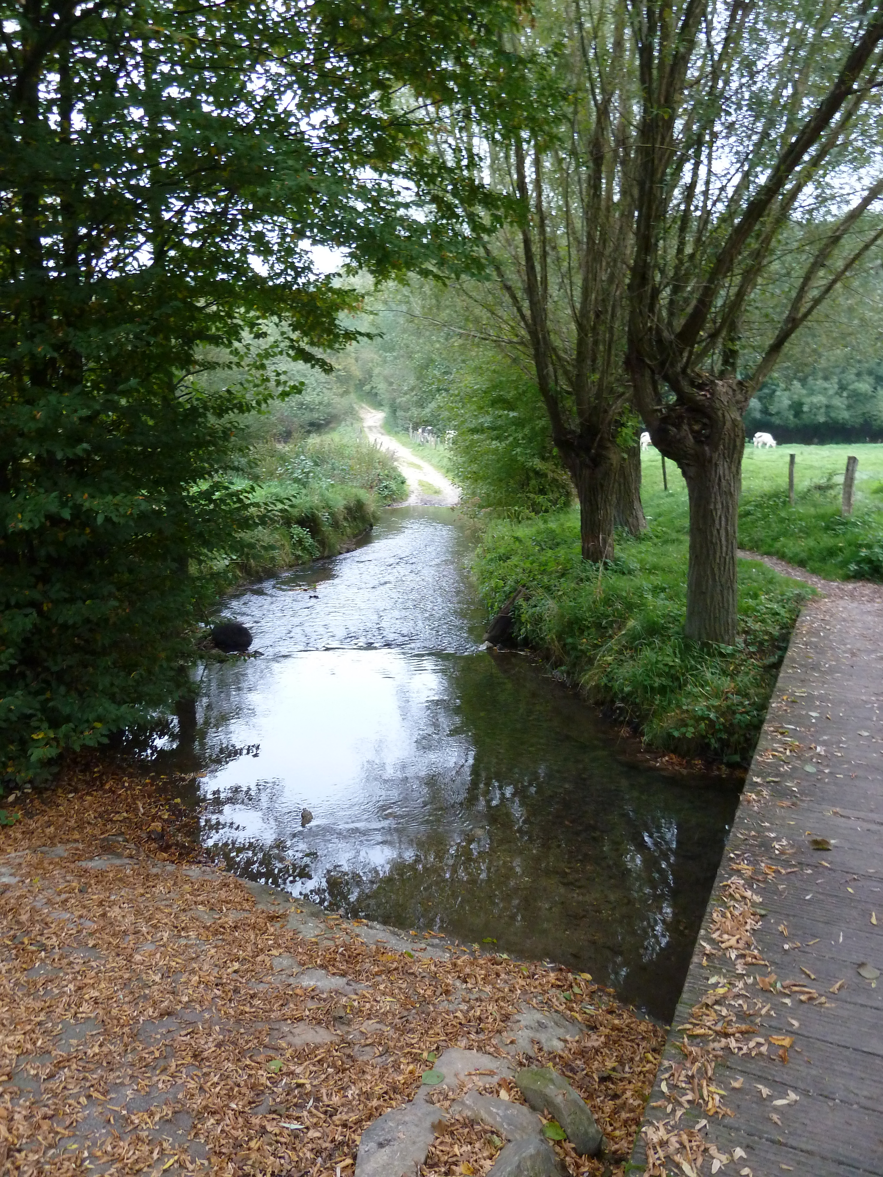 Foto van Beutenaken