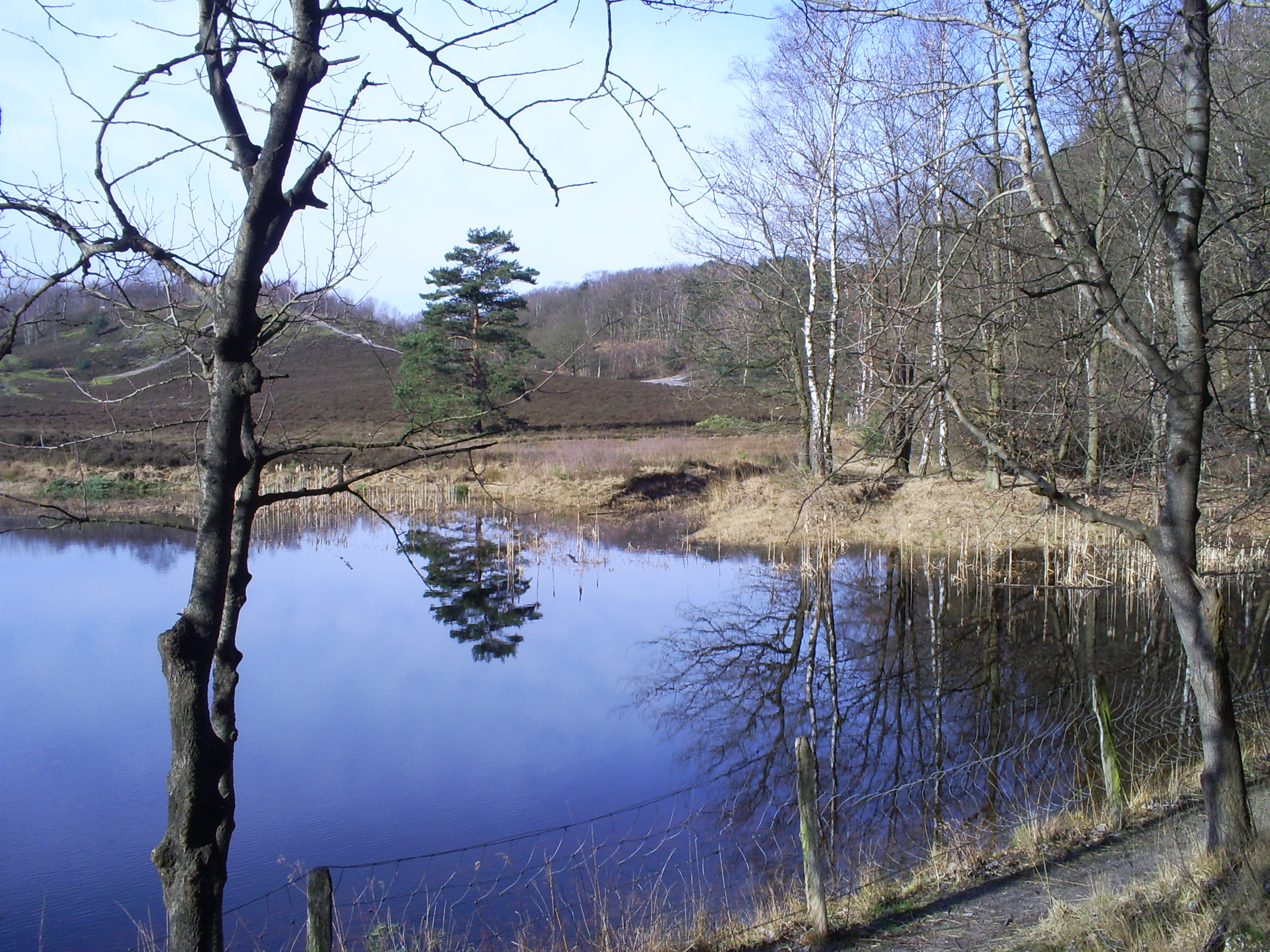 Foto van Brunssum