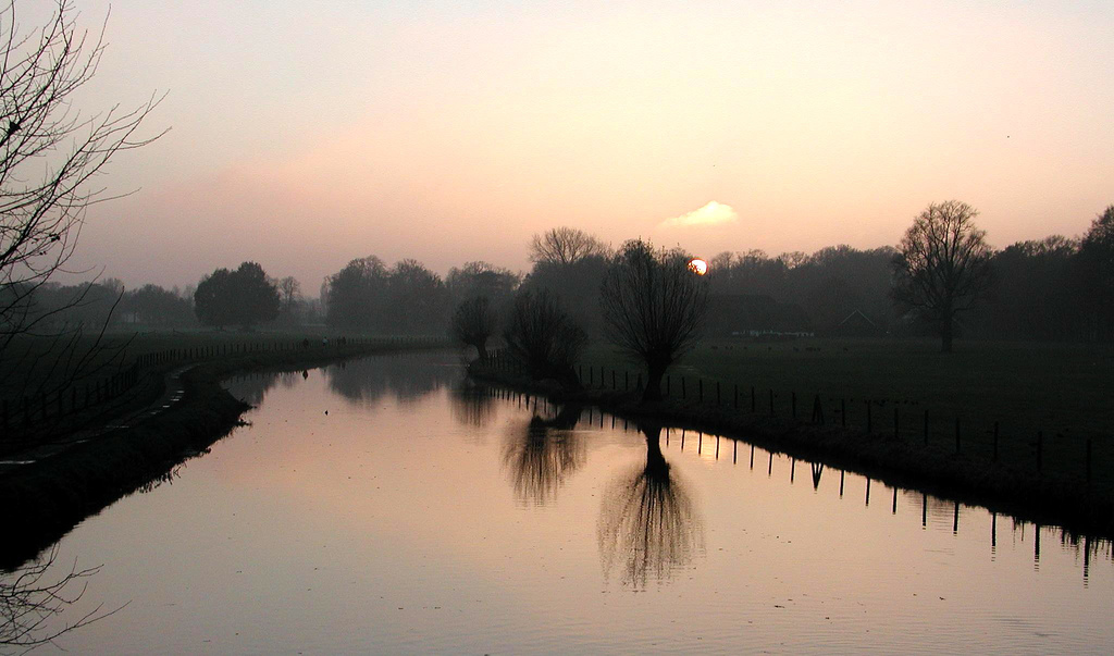 Foto van Bunnik