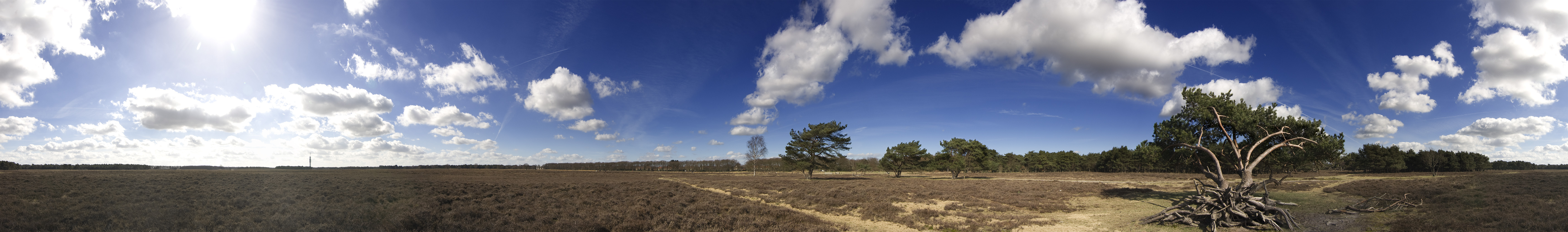 Foto van Bussum