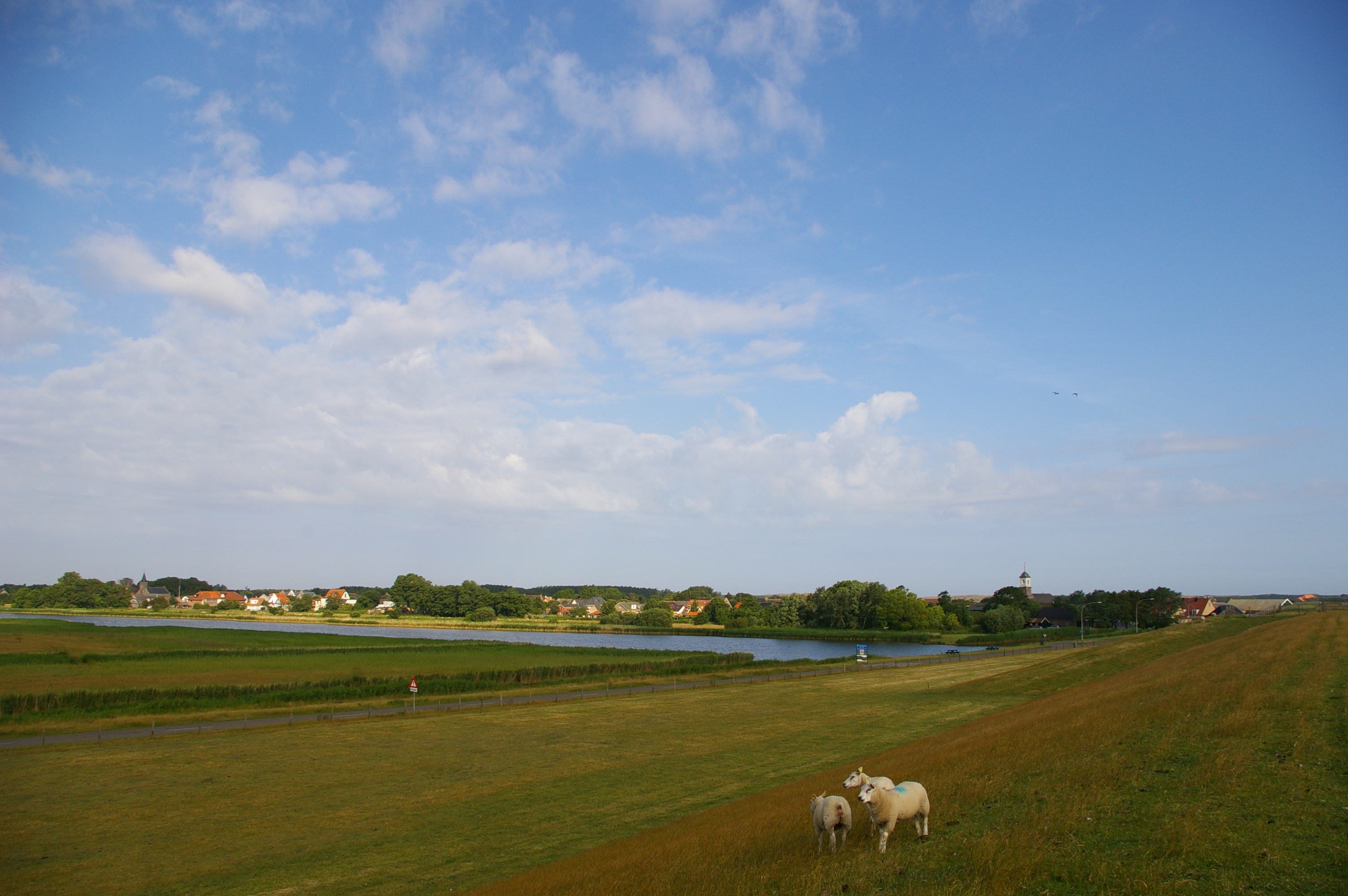 Foto van De Cocksdorp