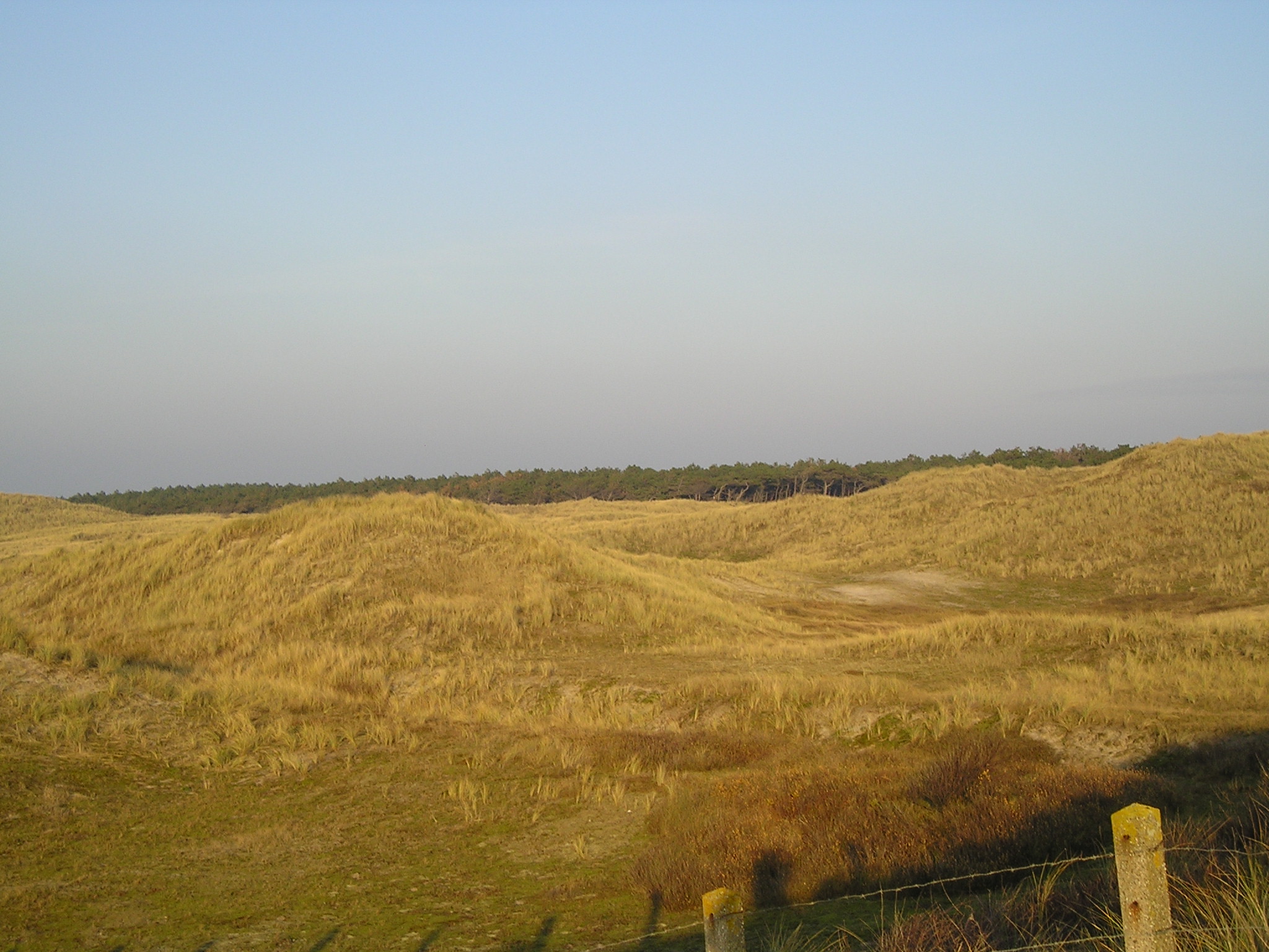 Foto van Den Helder