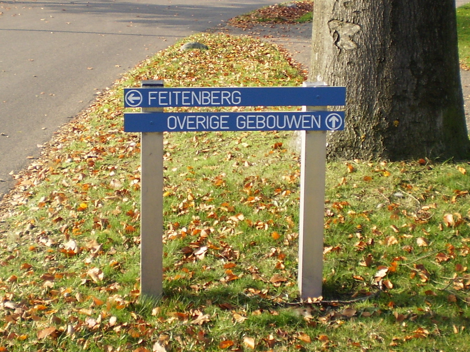 Foto van Ermelo