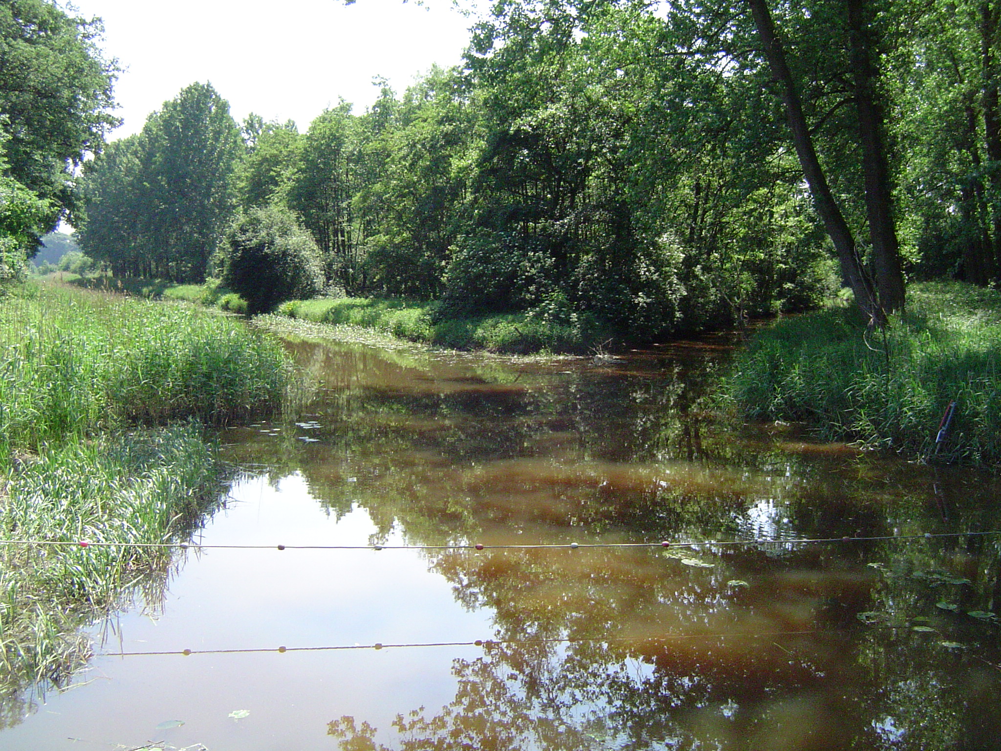 Foto van Gassel