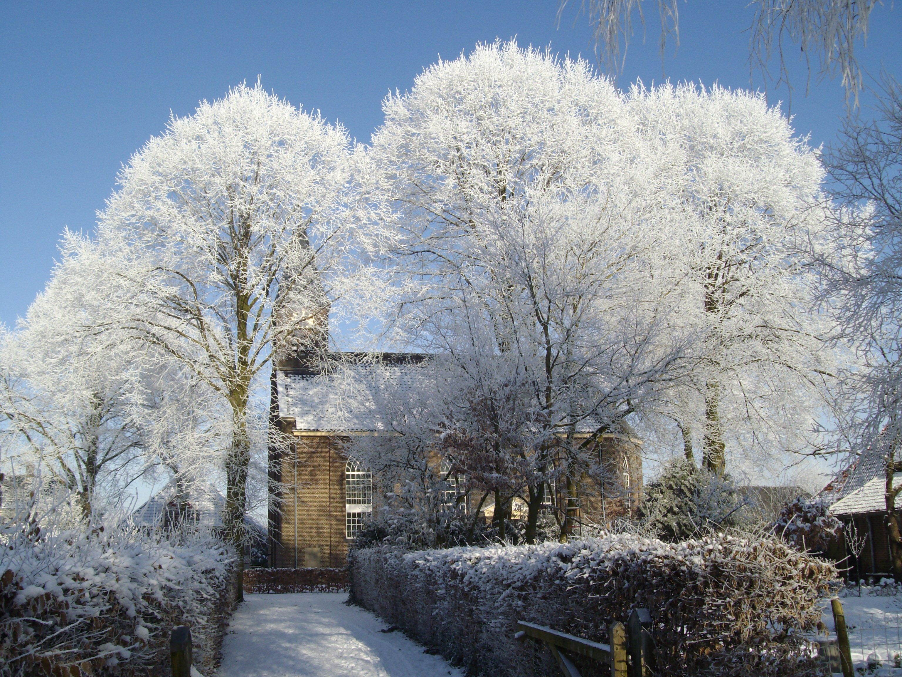 Foto van Gelselaar