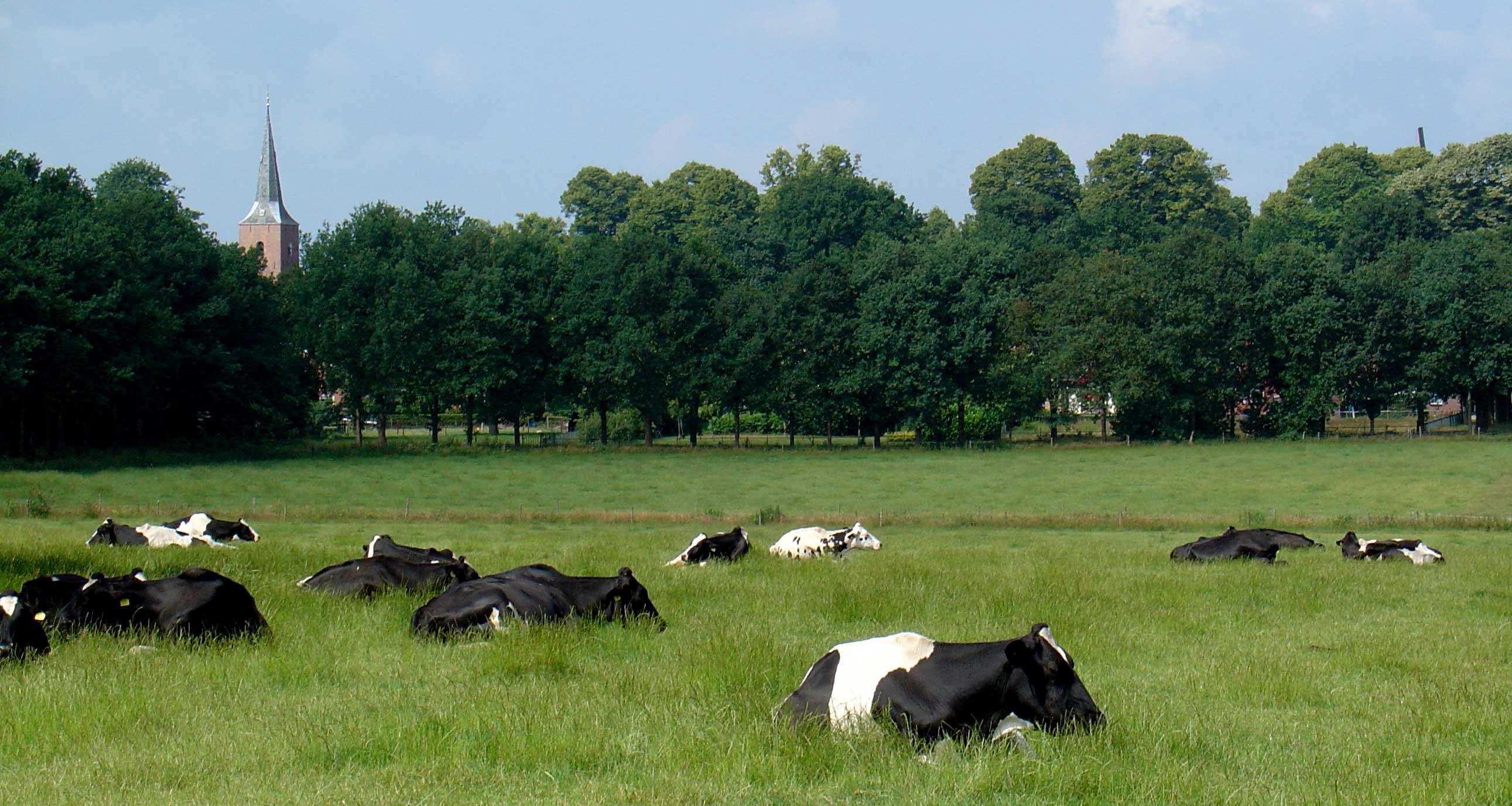 Foto van Gieten