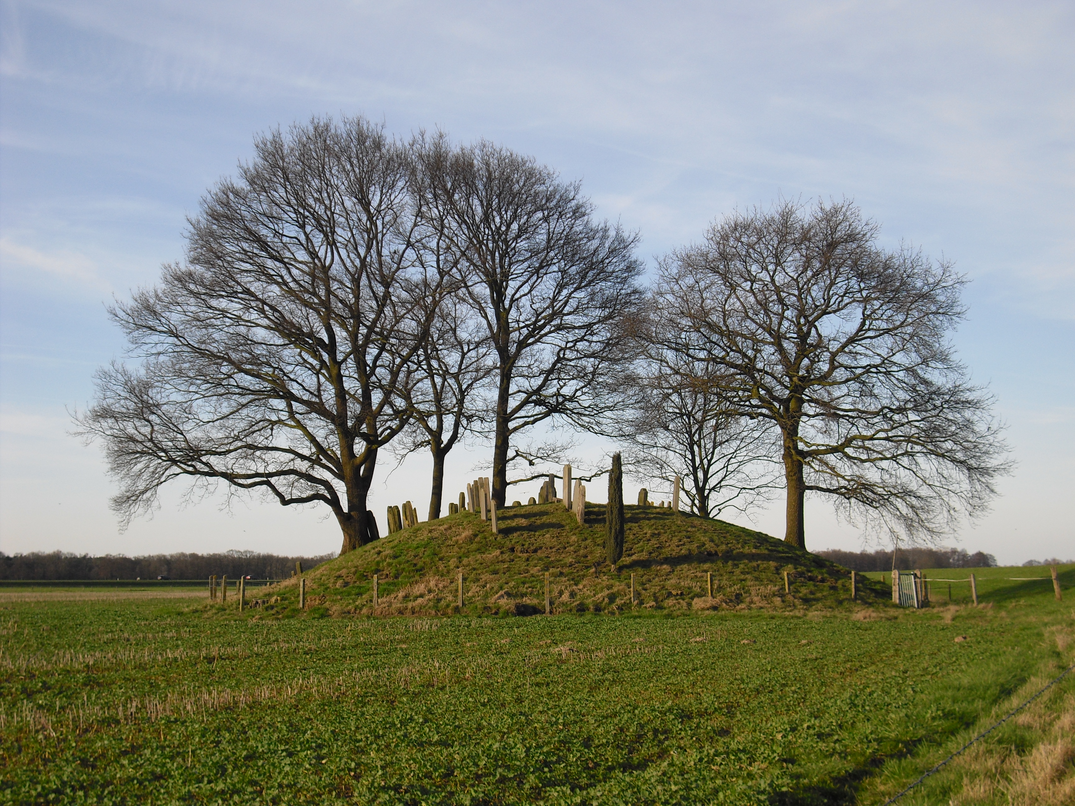 Foto van Hardenberg