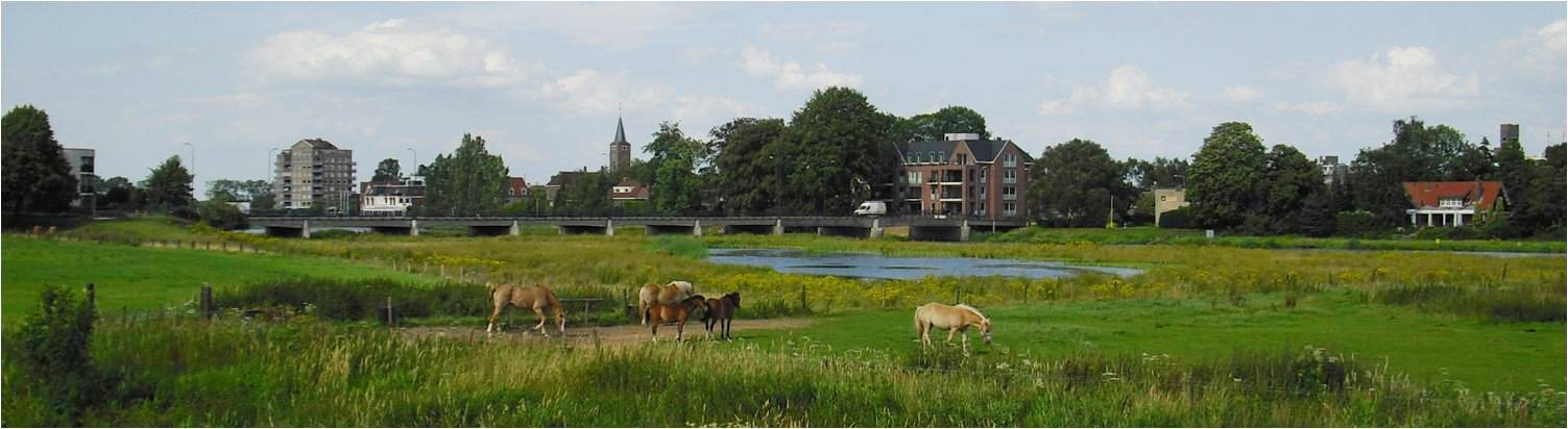 Foto van Hardenberg