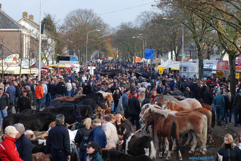 Foto van Hedel