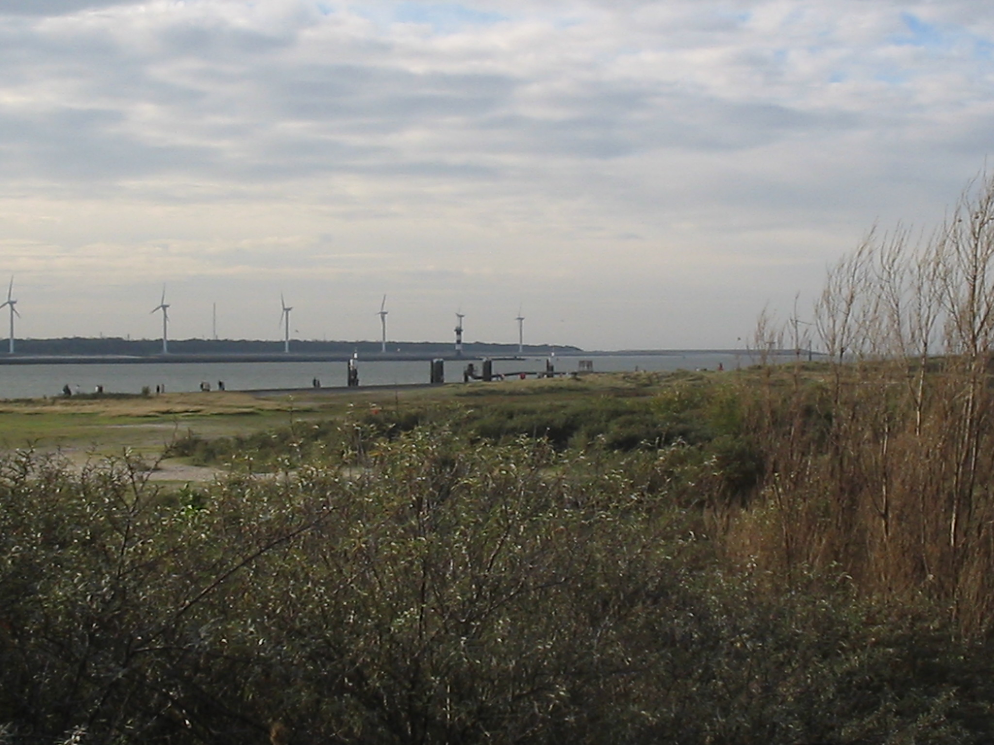 Foto van Hoek van Holland