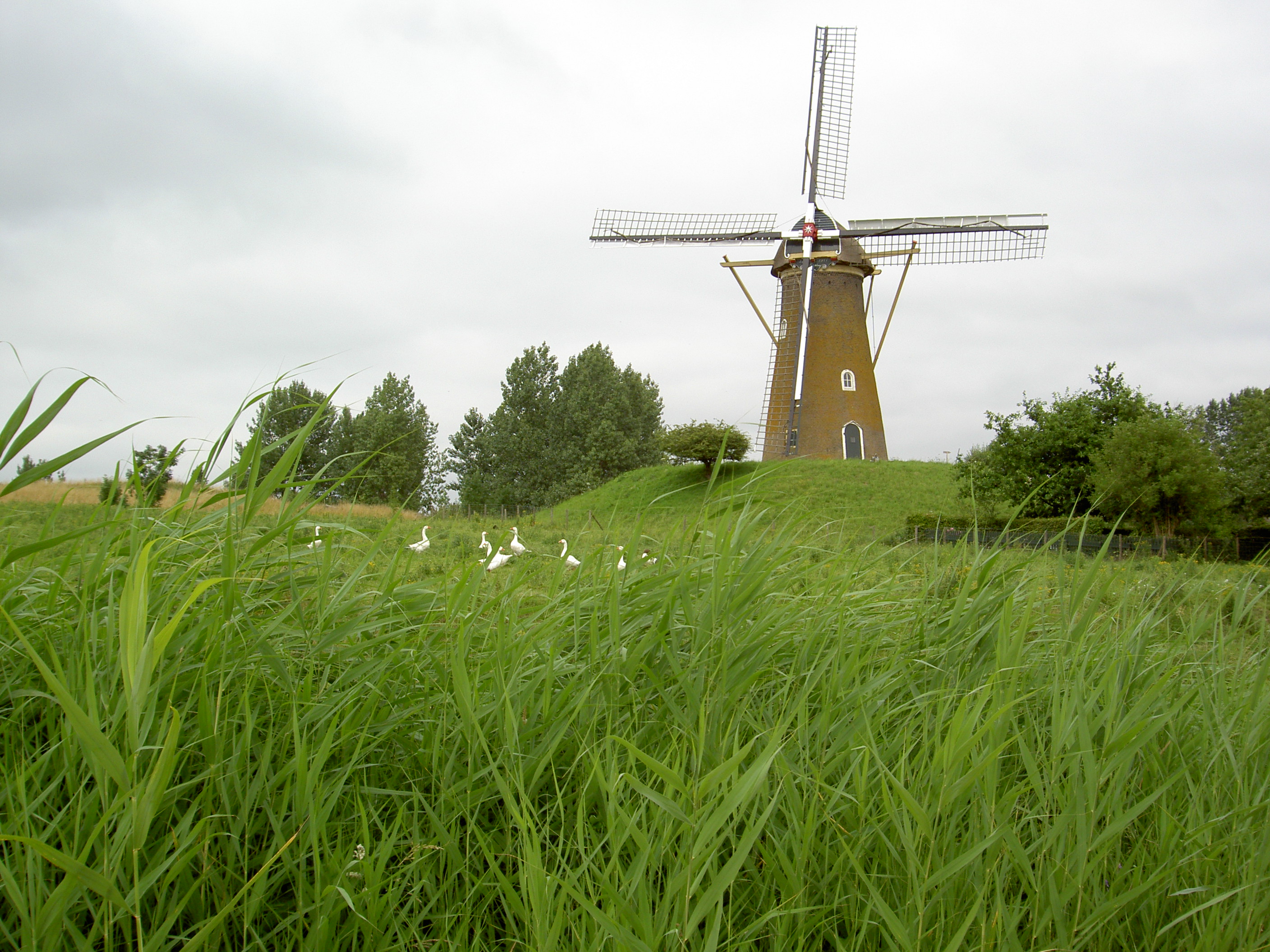 Foto van Hoofddorp