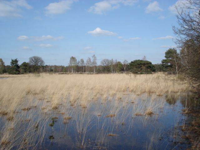 Foto van Hooge Mierde