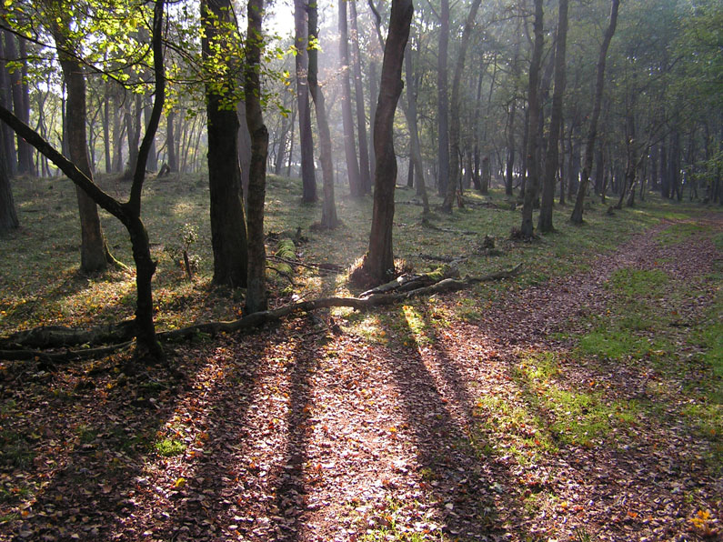 Foto van Hooghalen