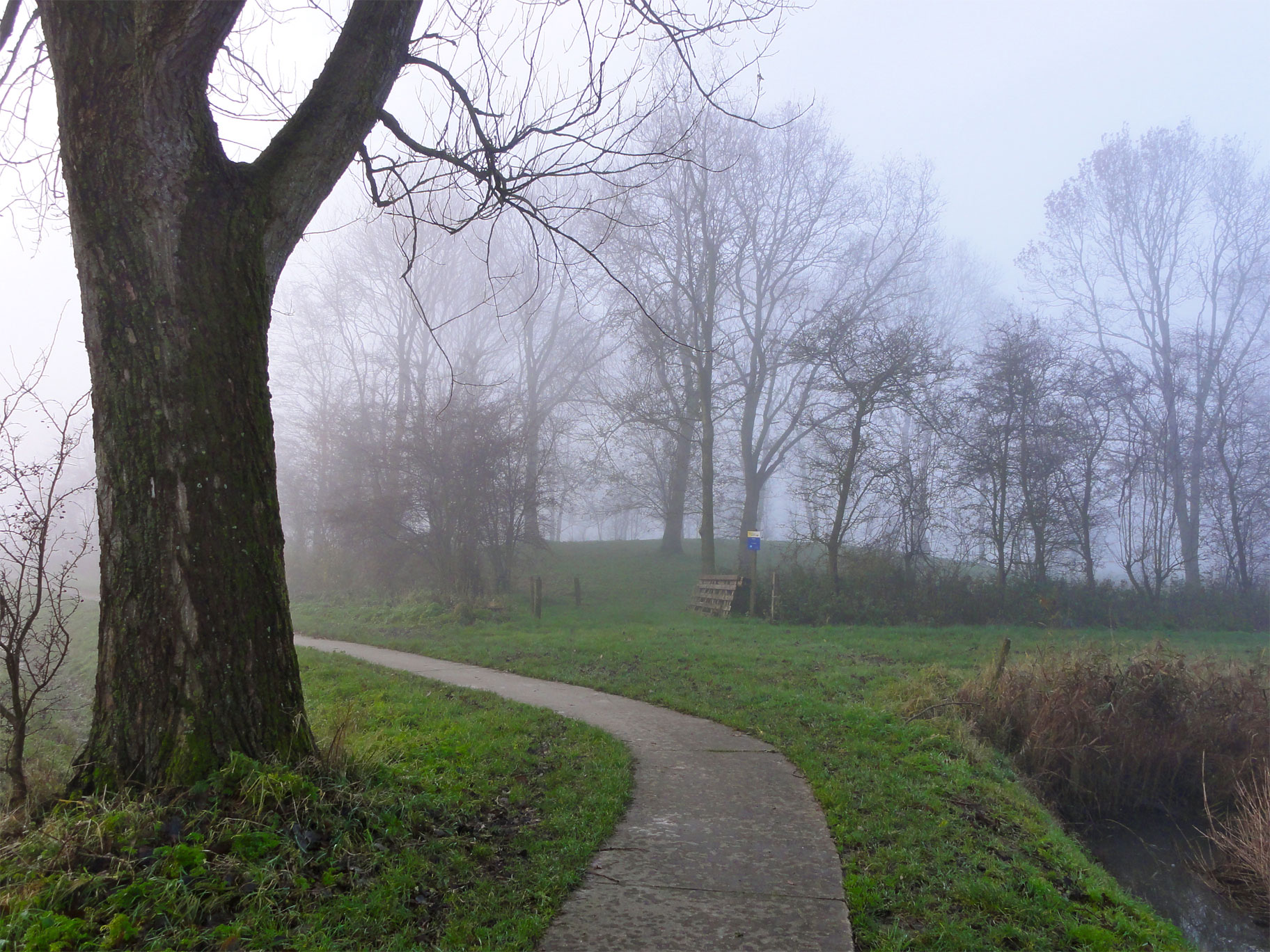 Foto van Houwerzijl