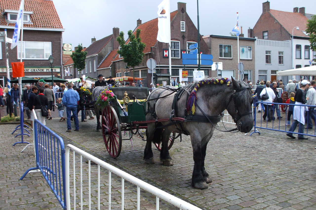 Foto van IJzendijke