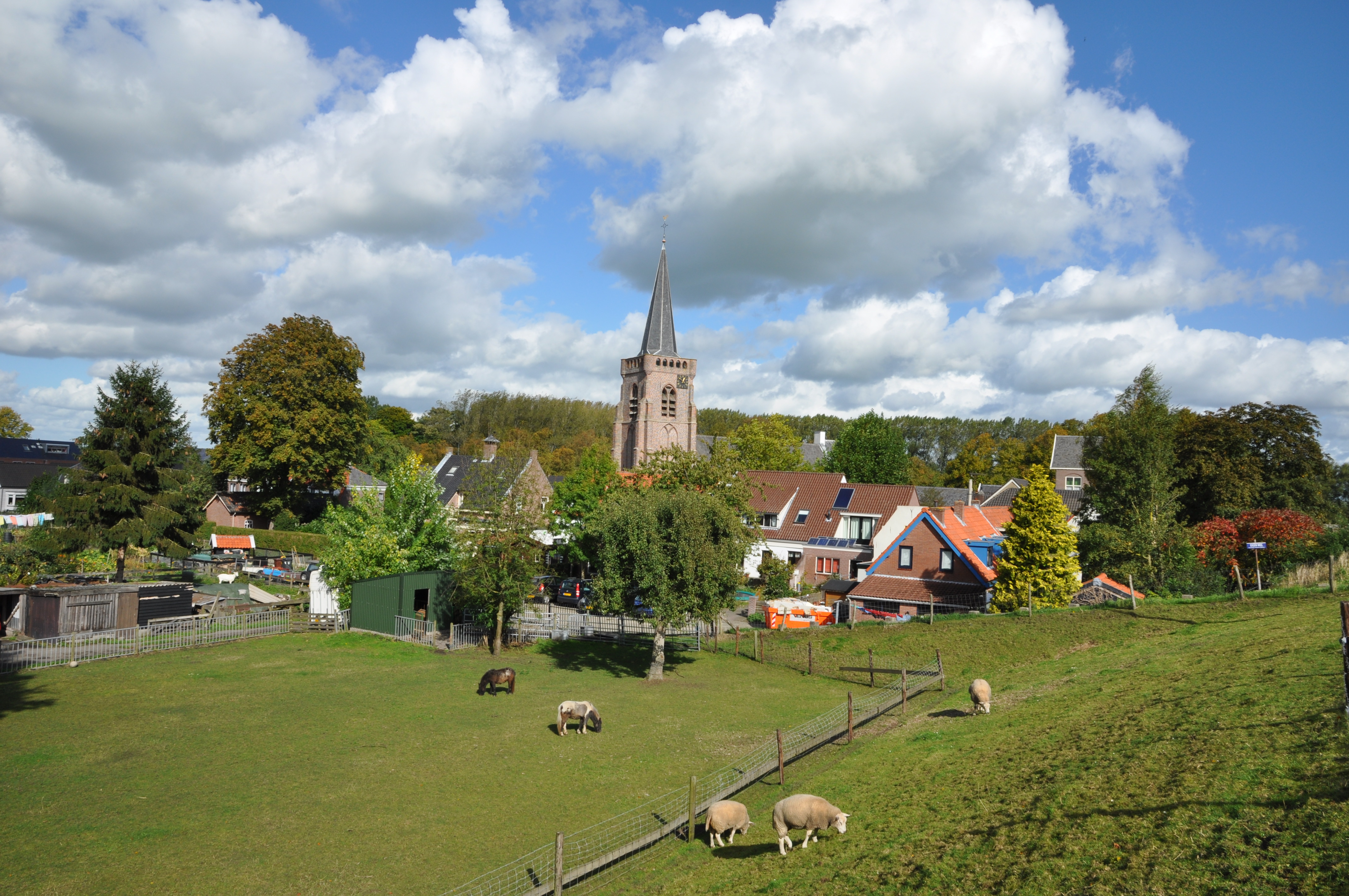 Foto van Jaarsveld