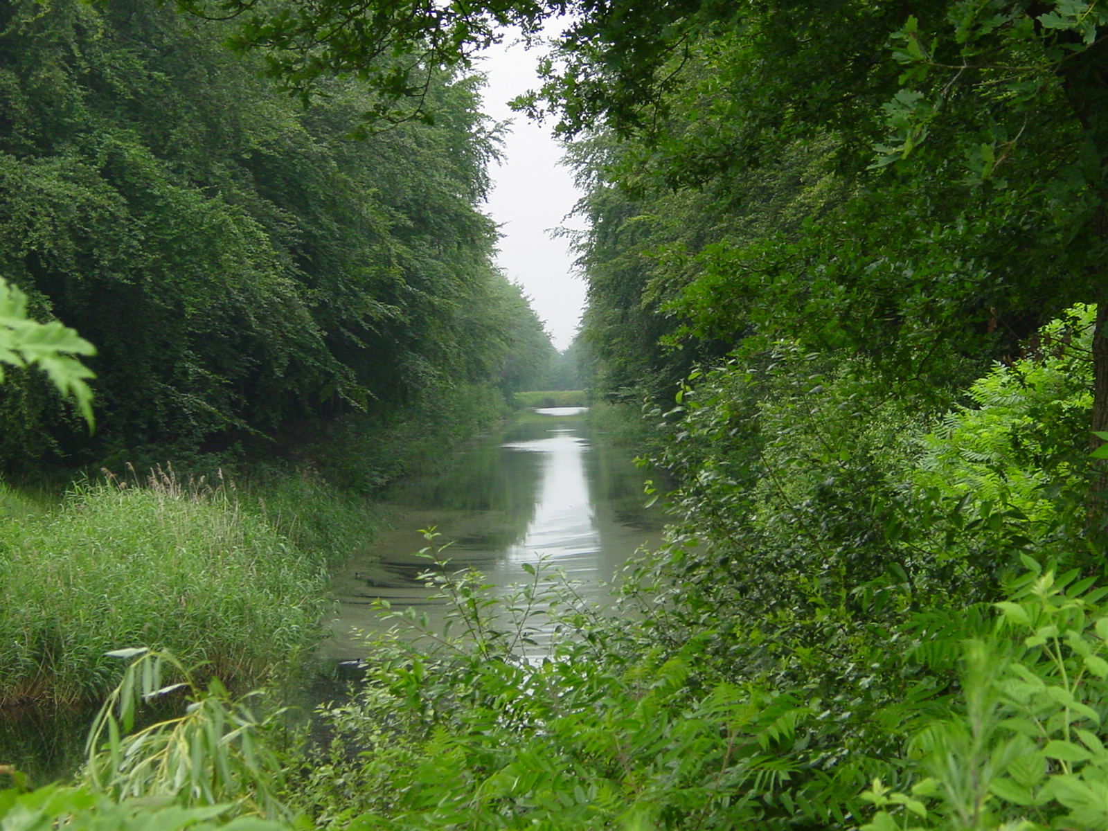 Foto van Klijndijk