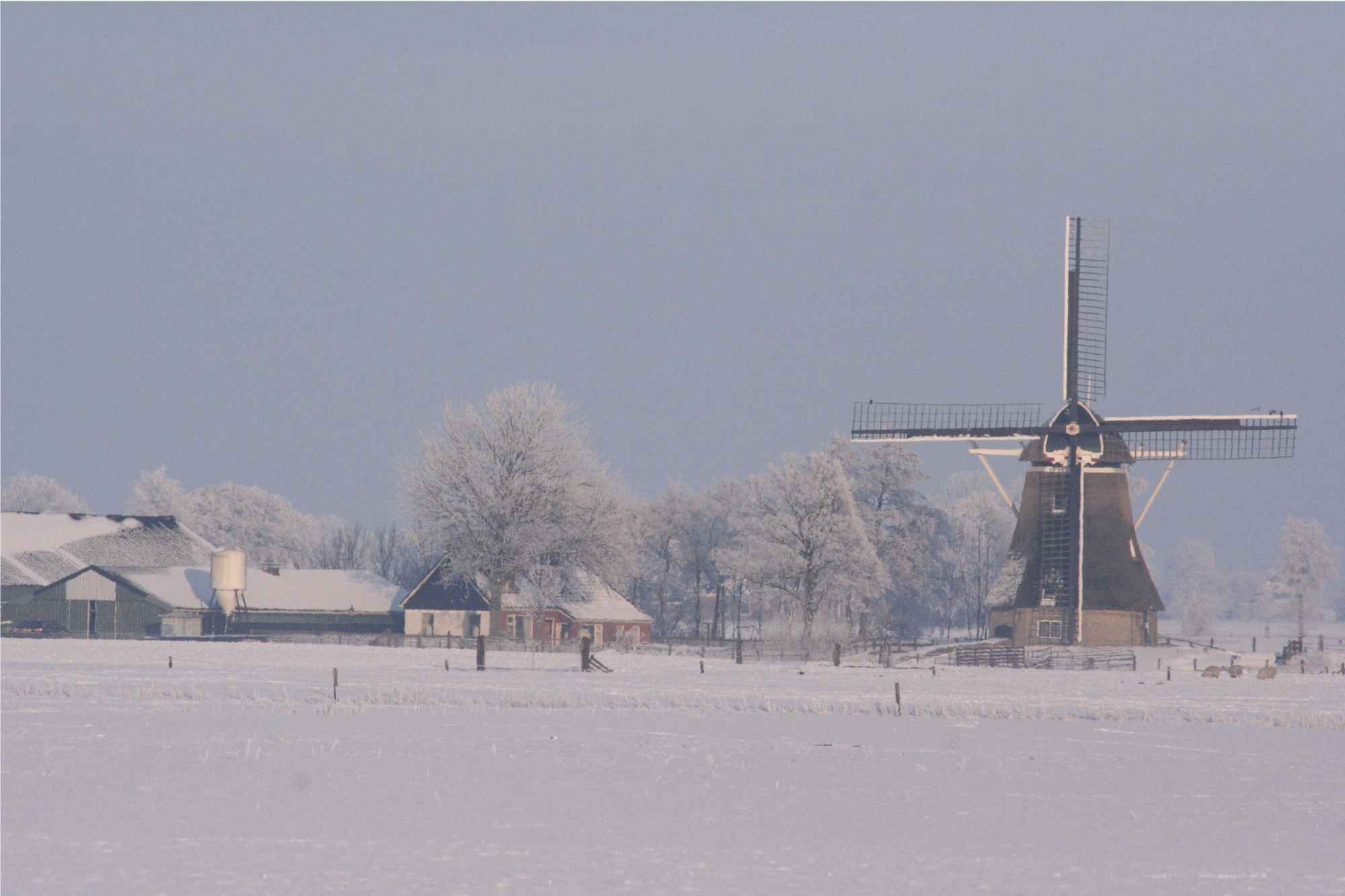 Foto van Kollum