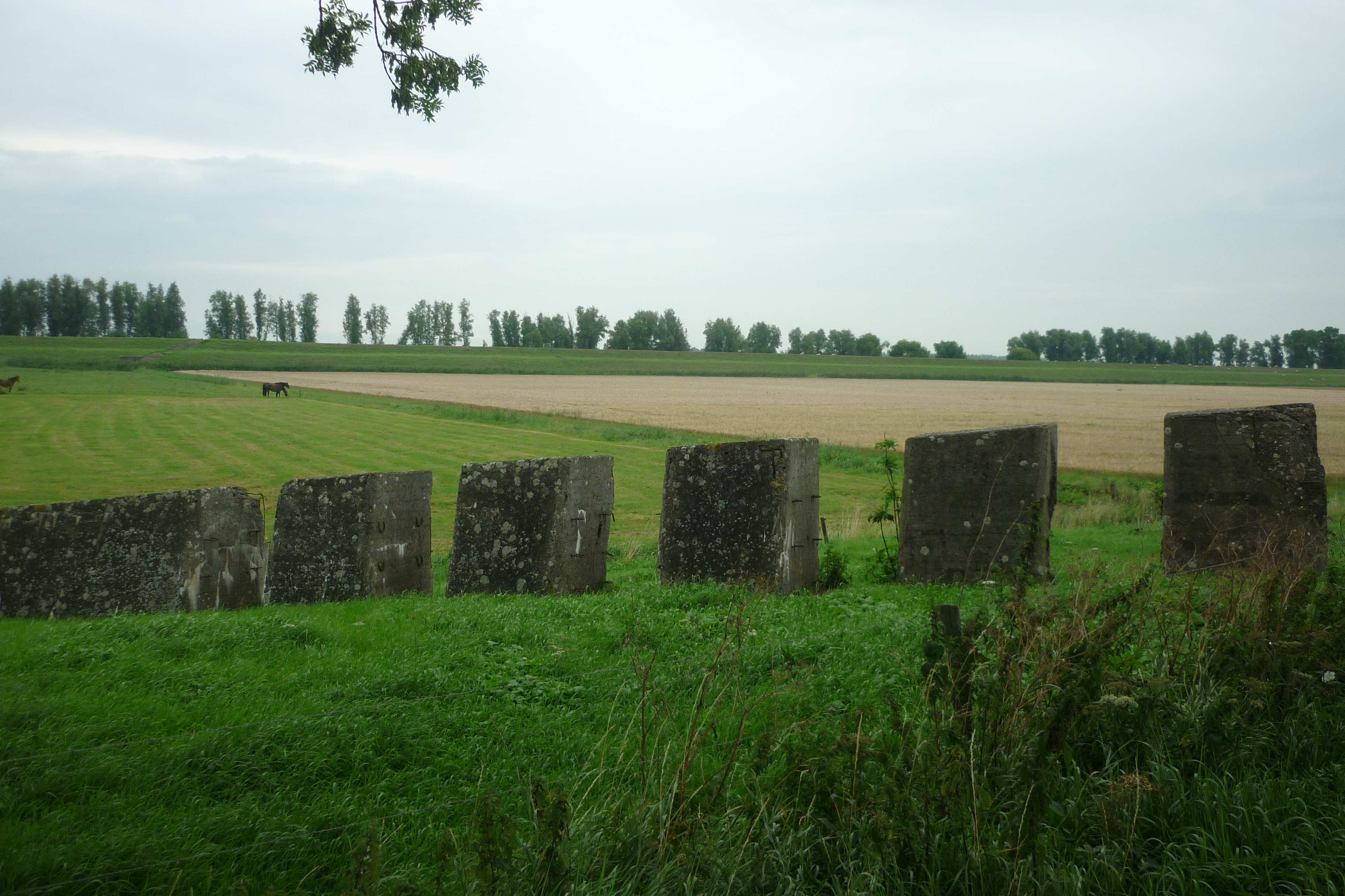 Foto van Lage Zwaluwe