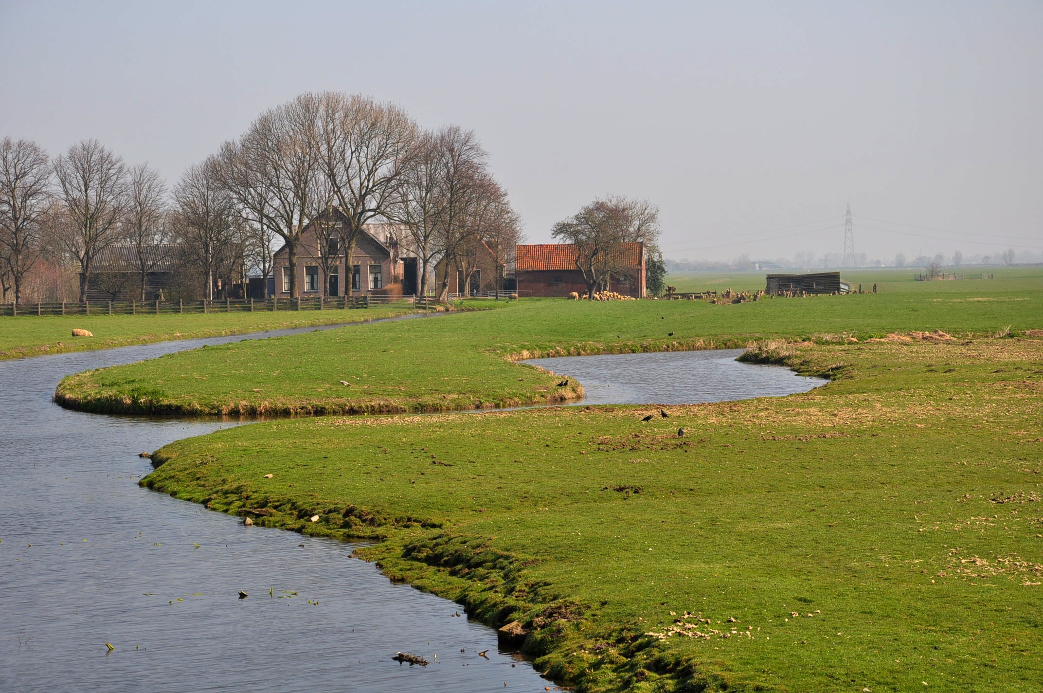 Foto van Leiderdorp