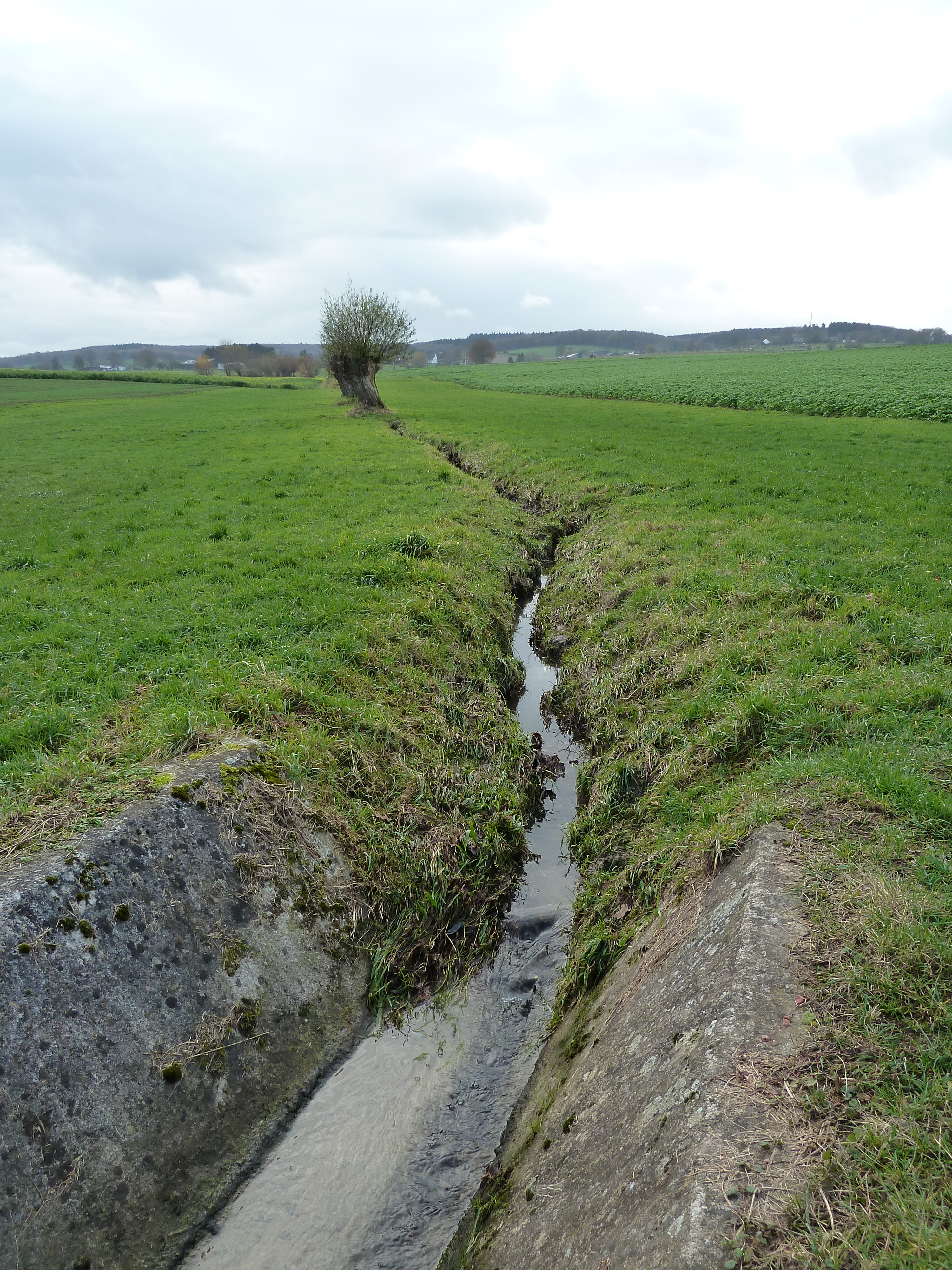 Foto van Lemiers