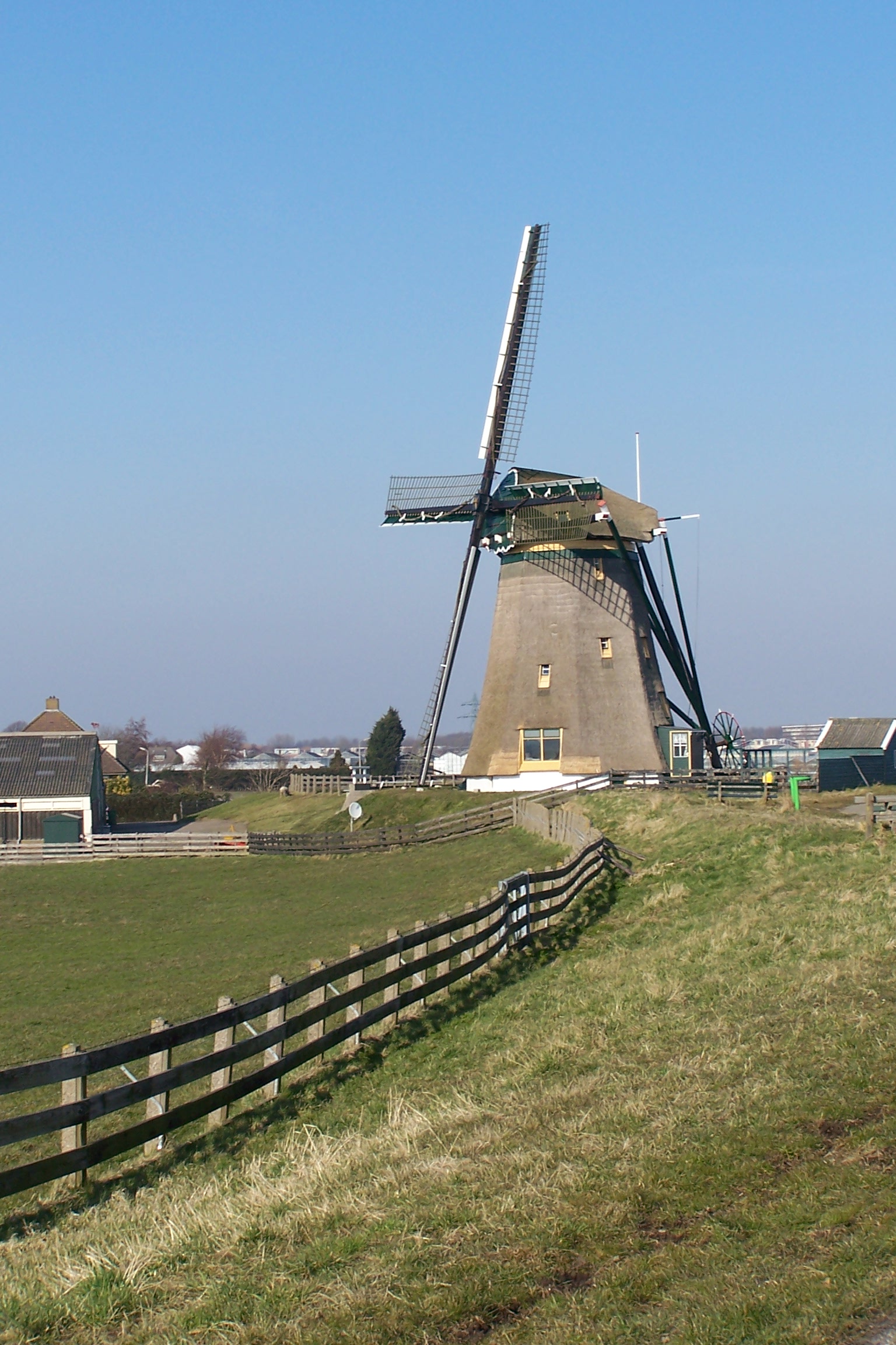 Foto van Lisse