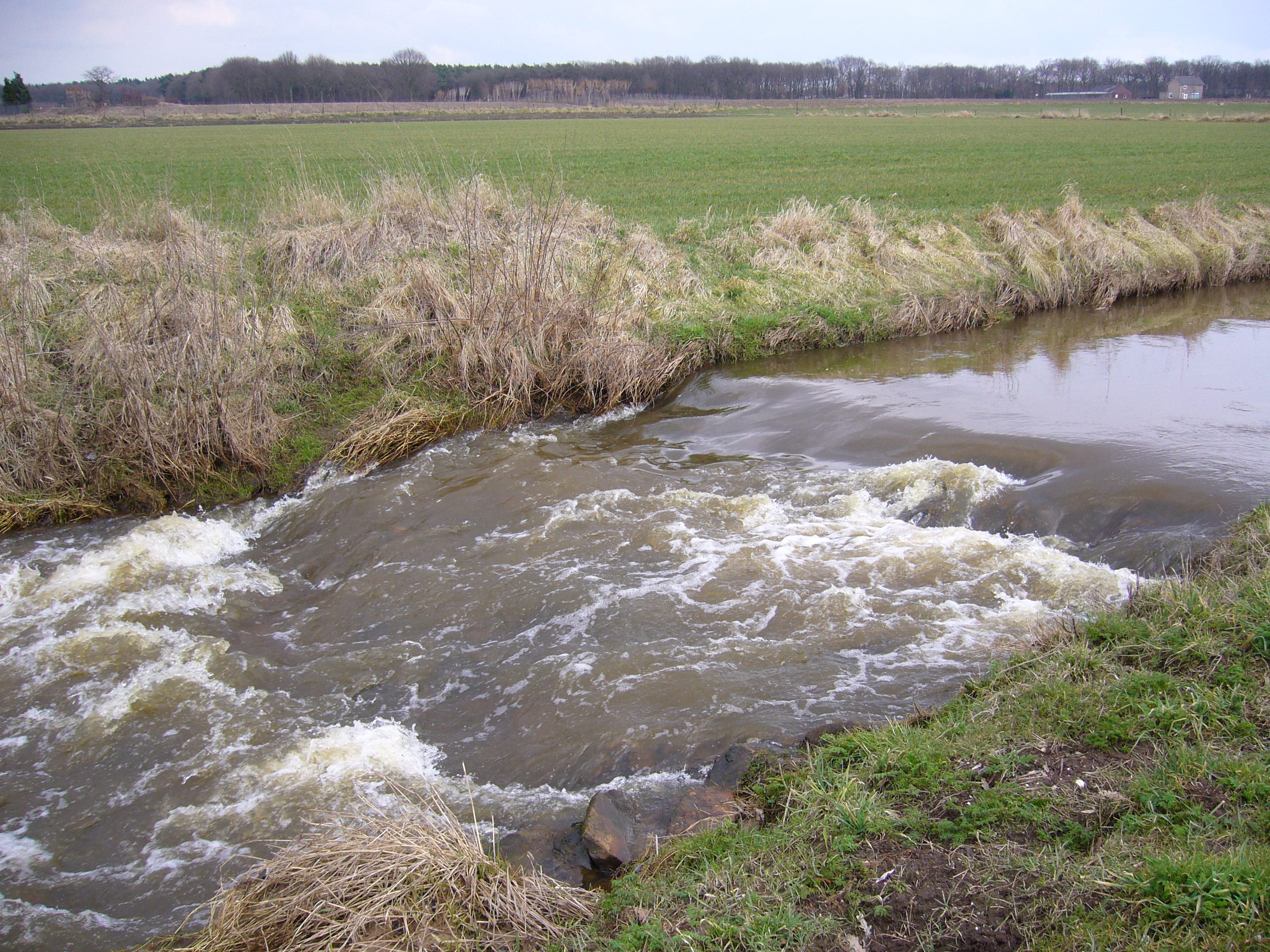 Foto van Meerlo