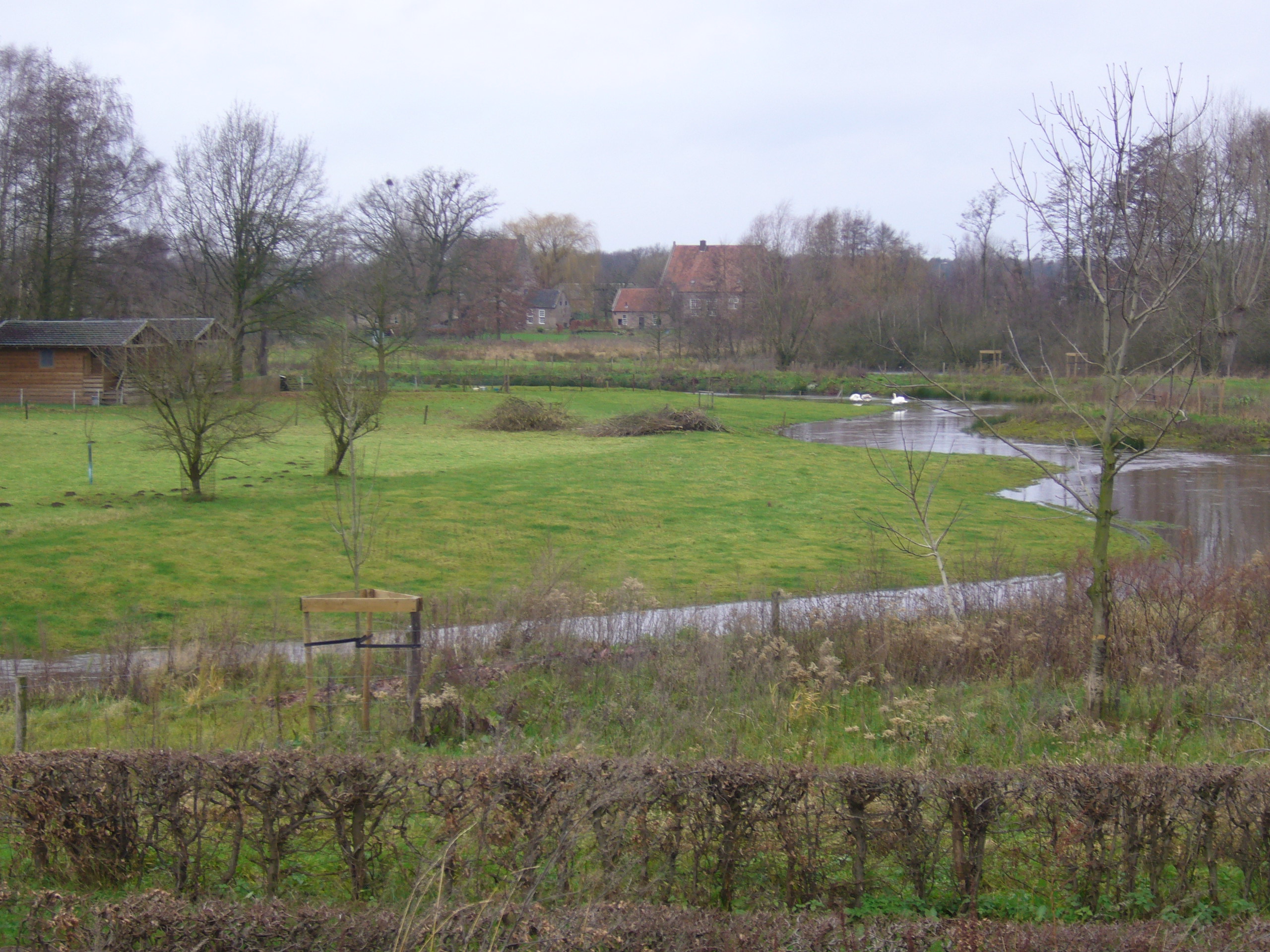 Foto van Meerlo