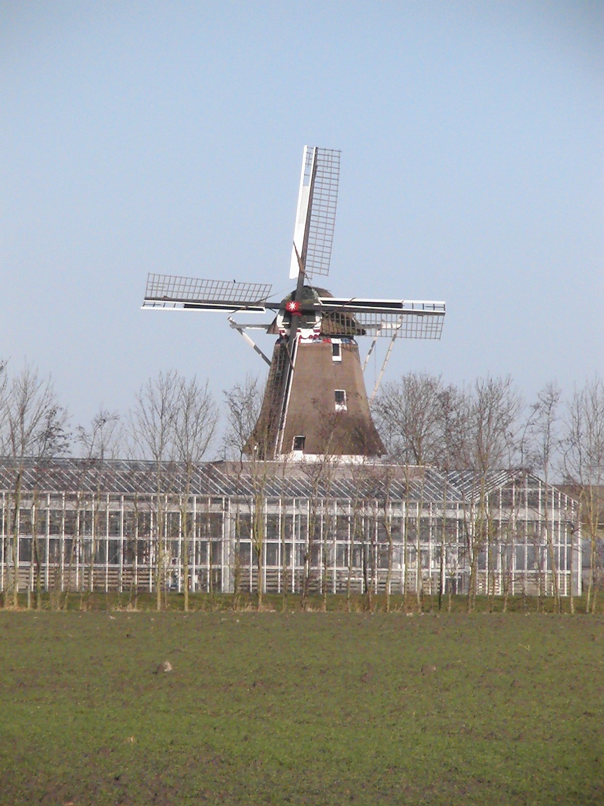 Foto van Metslawier