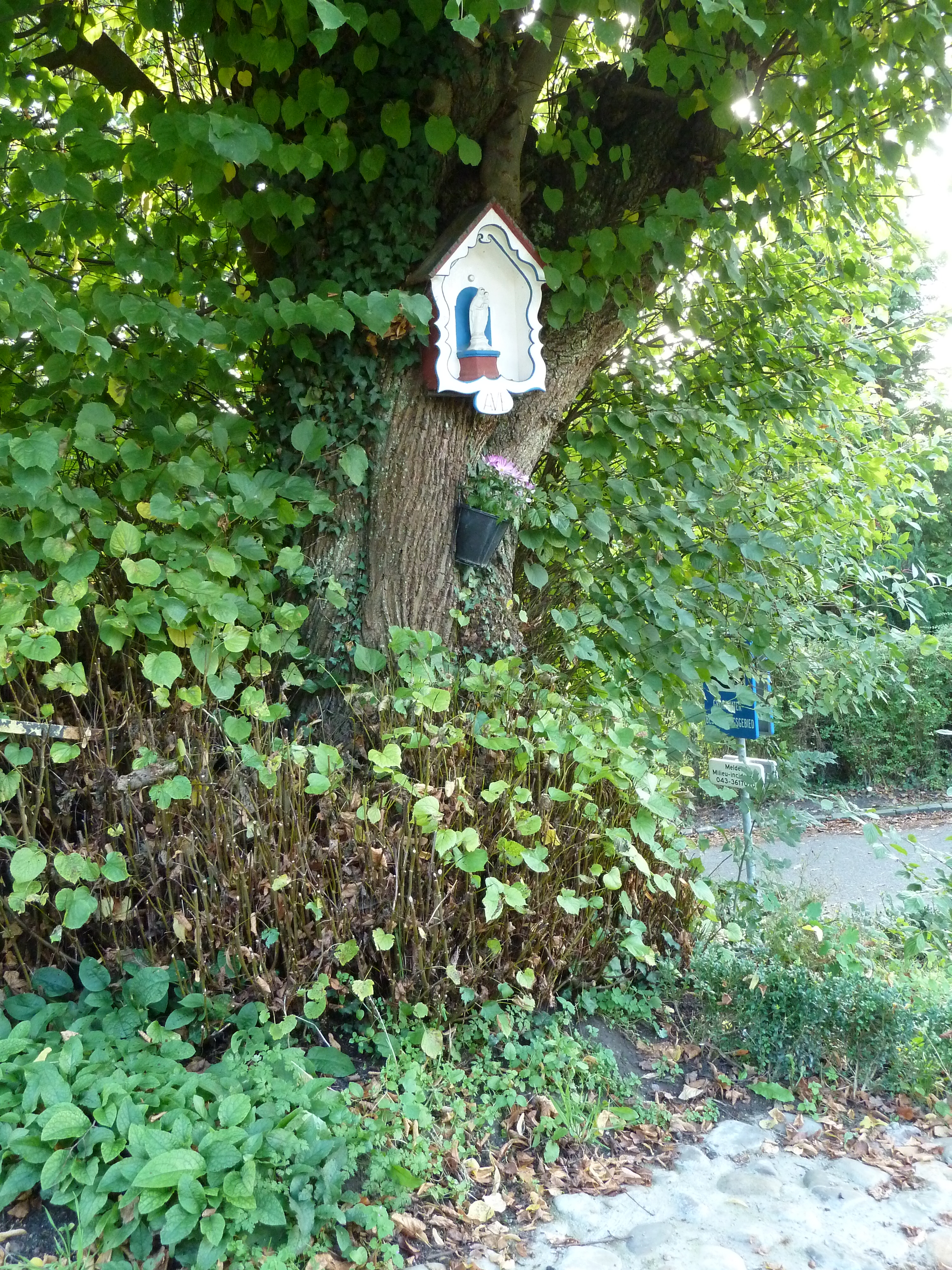 Foto van Mheer