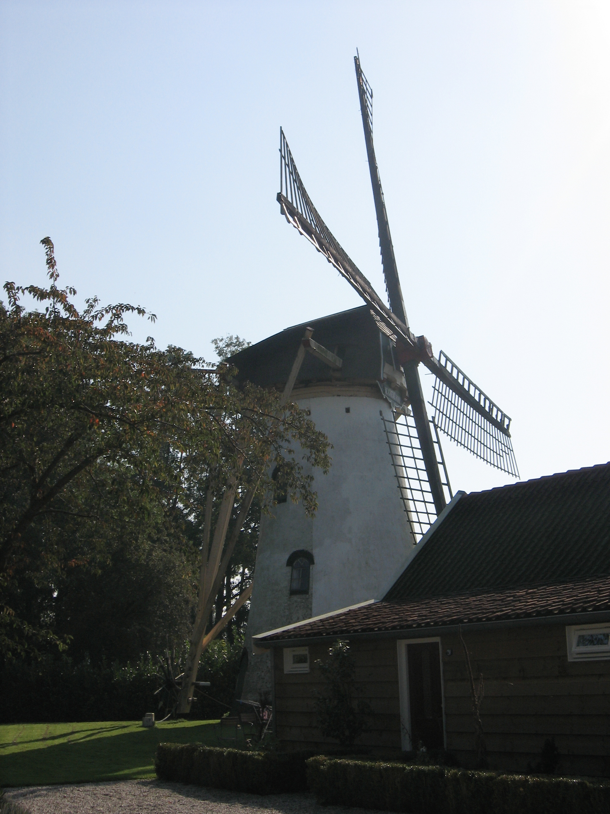 Foto van Mijnsheerenland