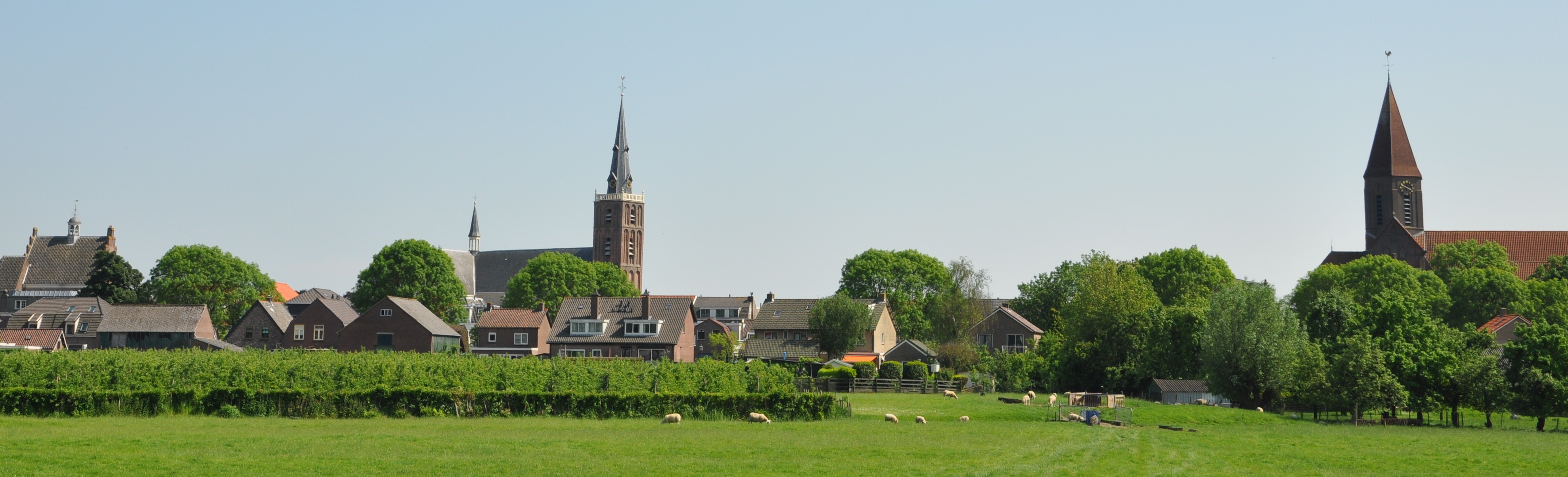 Foto van Montfoort