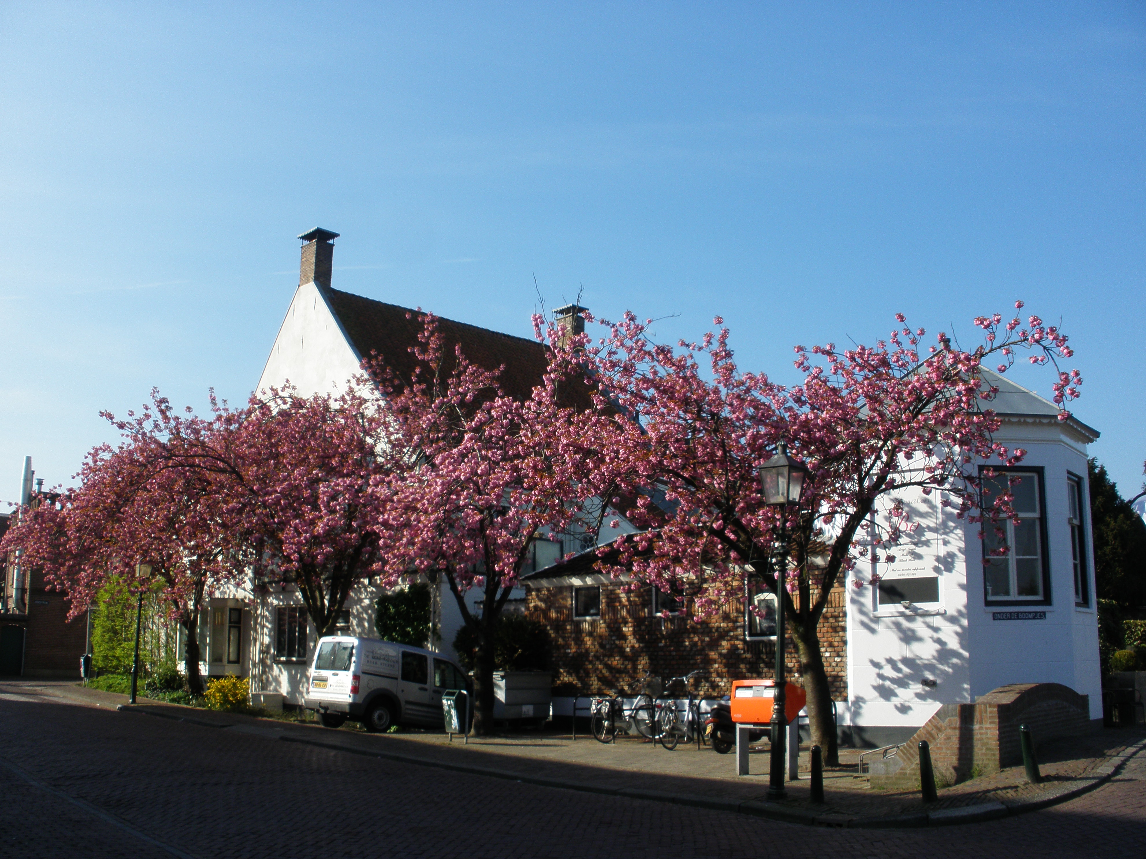 Foto van Montfoort