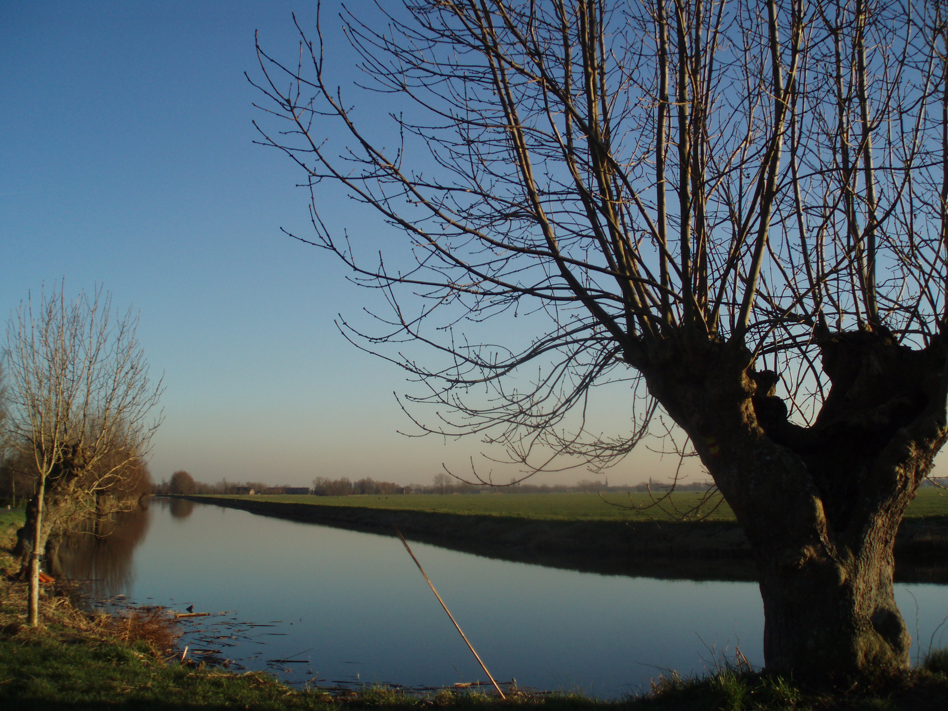 Foto van Montfoort