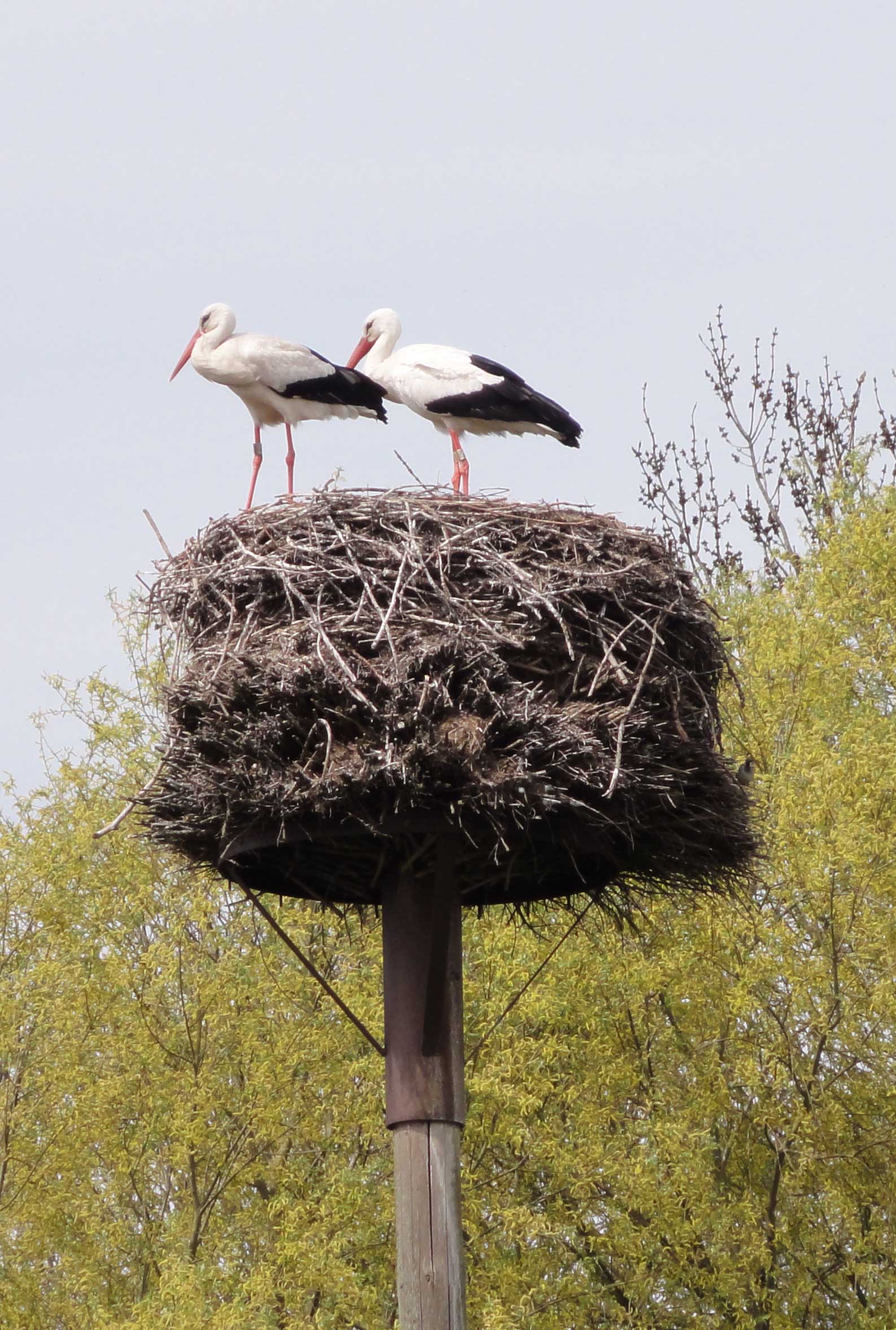 Foto van Nederland