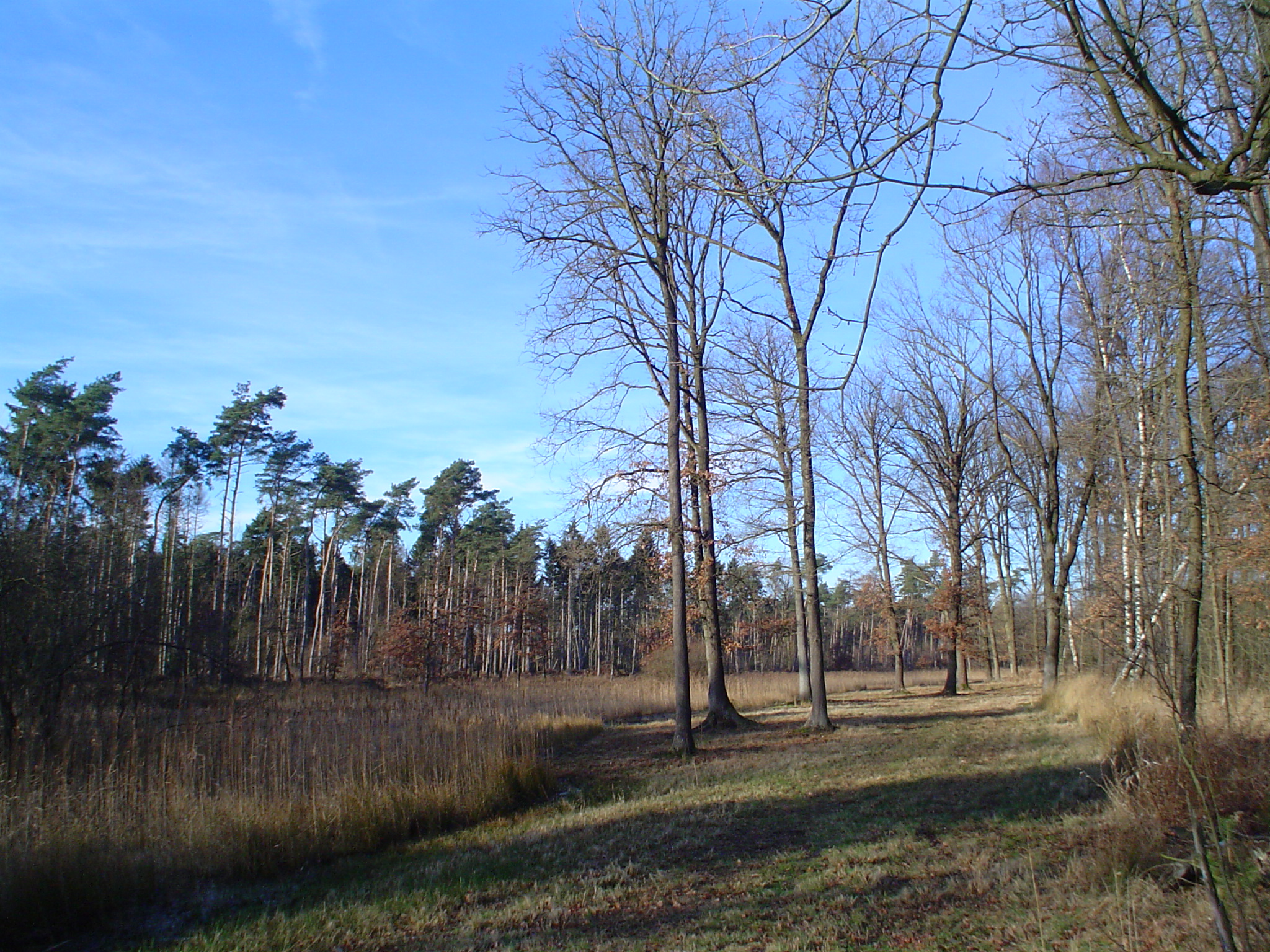 Foto van Nederweert