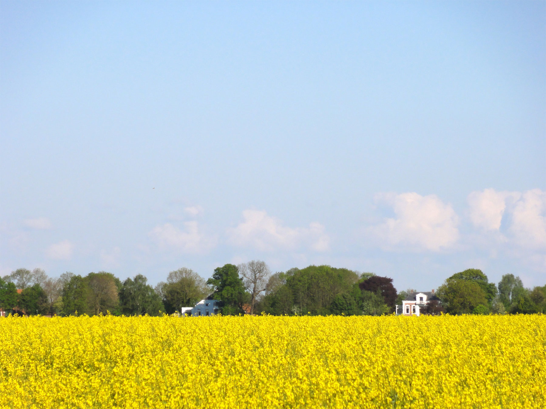 Foto van 9687 Nieuw-Beerta
