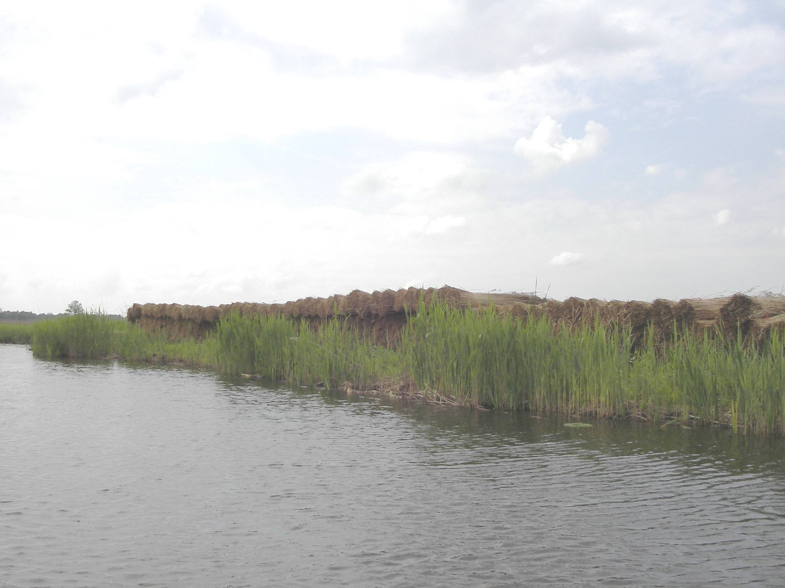 Foto van 2420 - 2421 Nieuwkoop