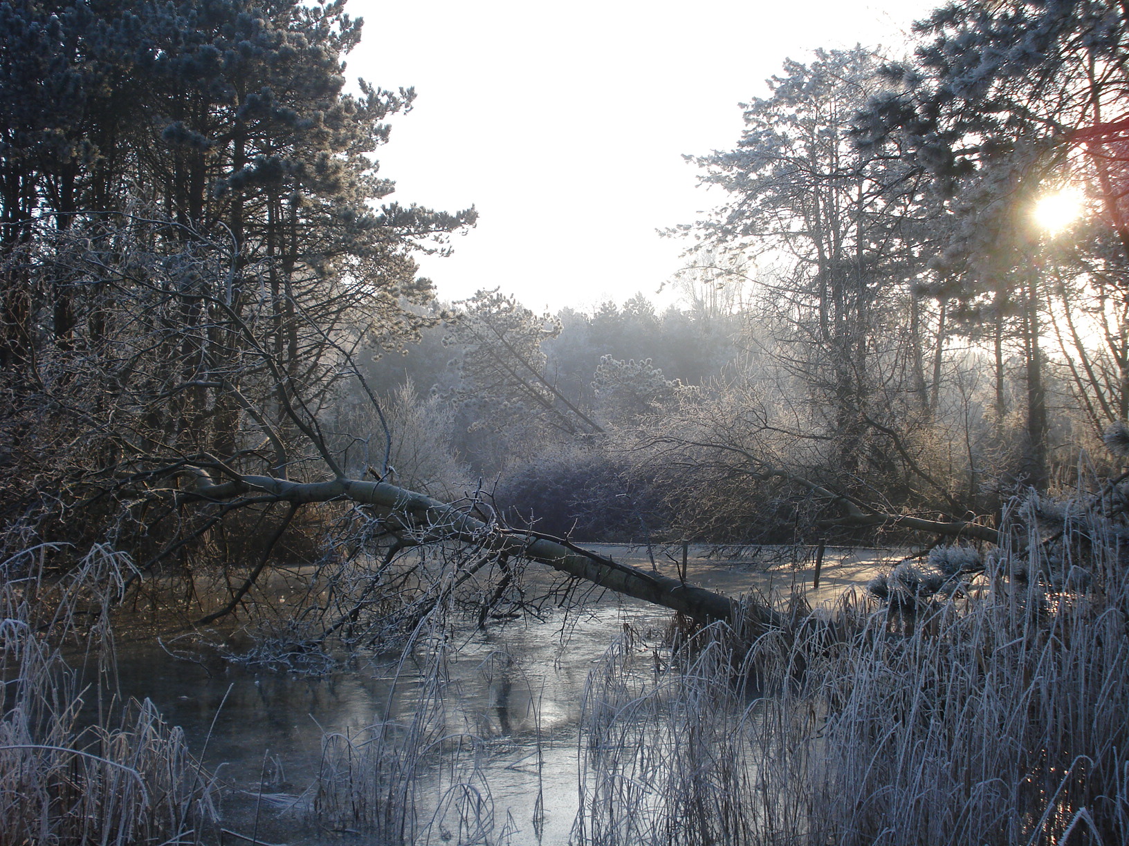 Foto van Ouddorp