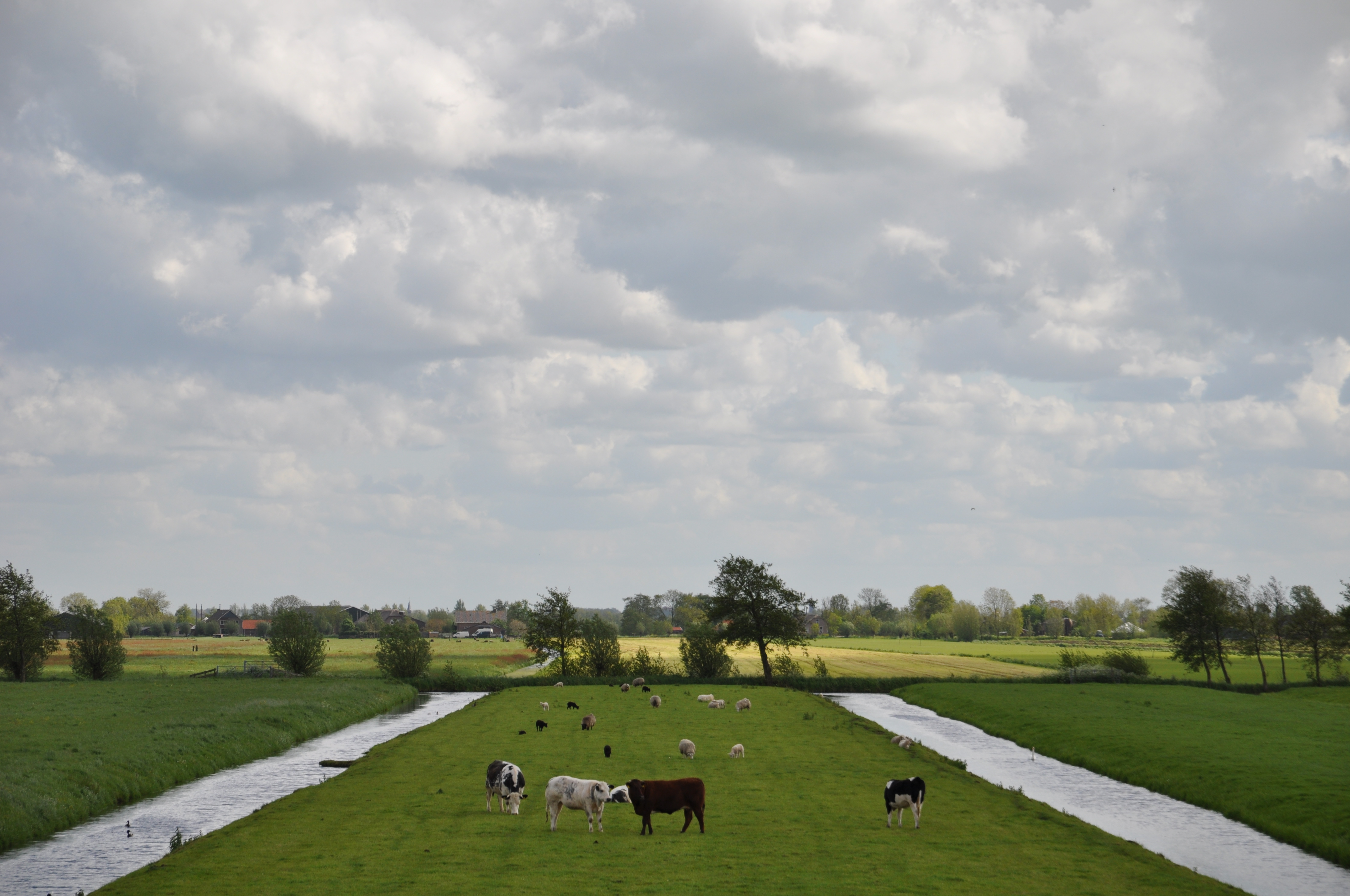 Foto van Oudewater