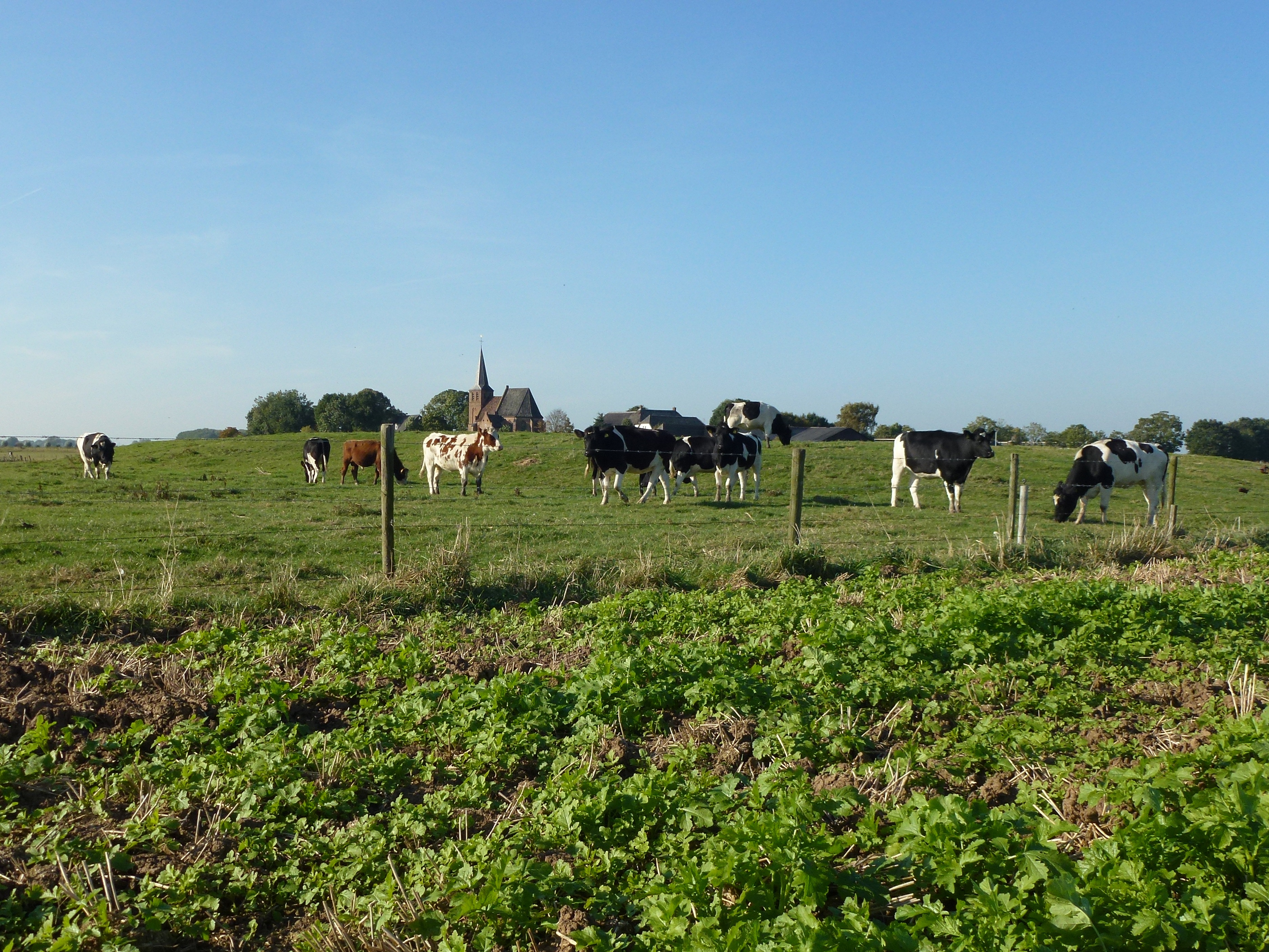 Foto van Persingen