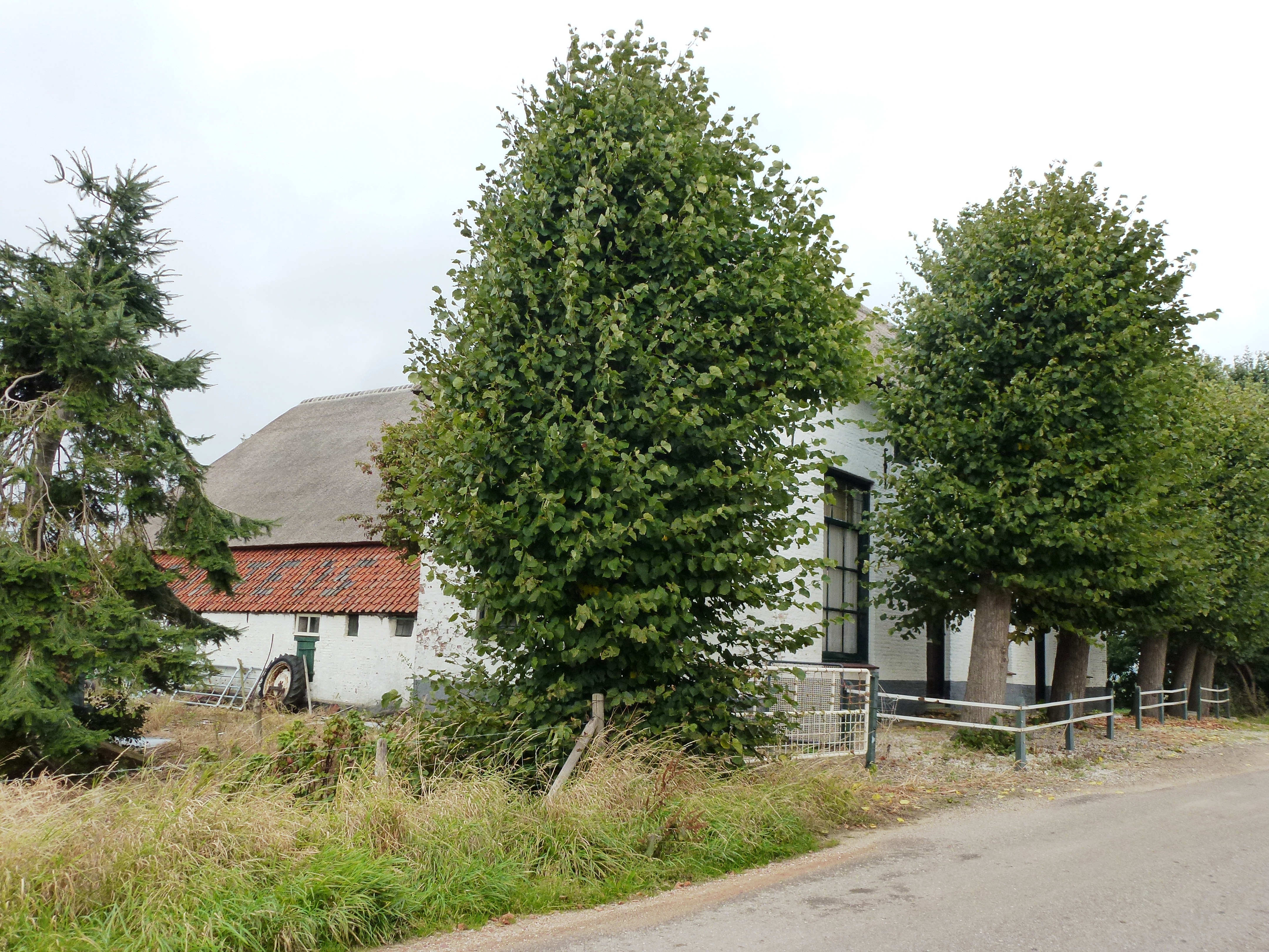 Foto van Persingen