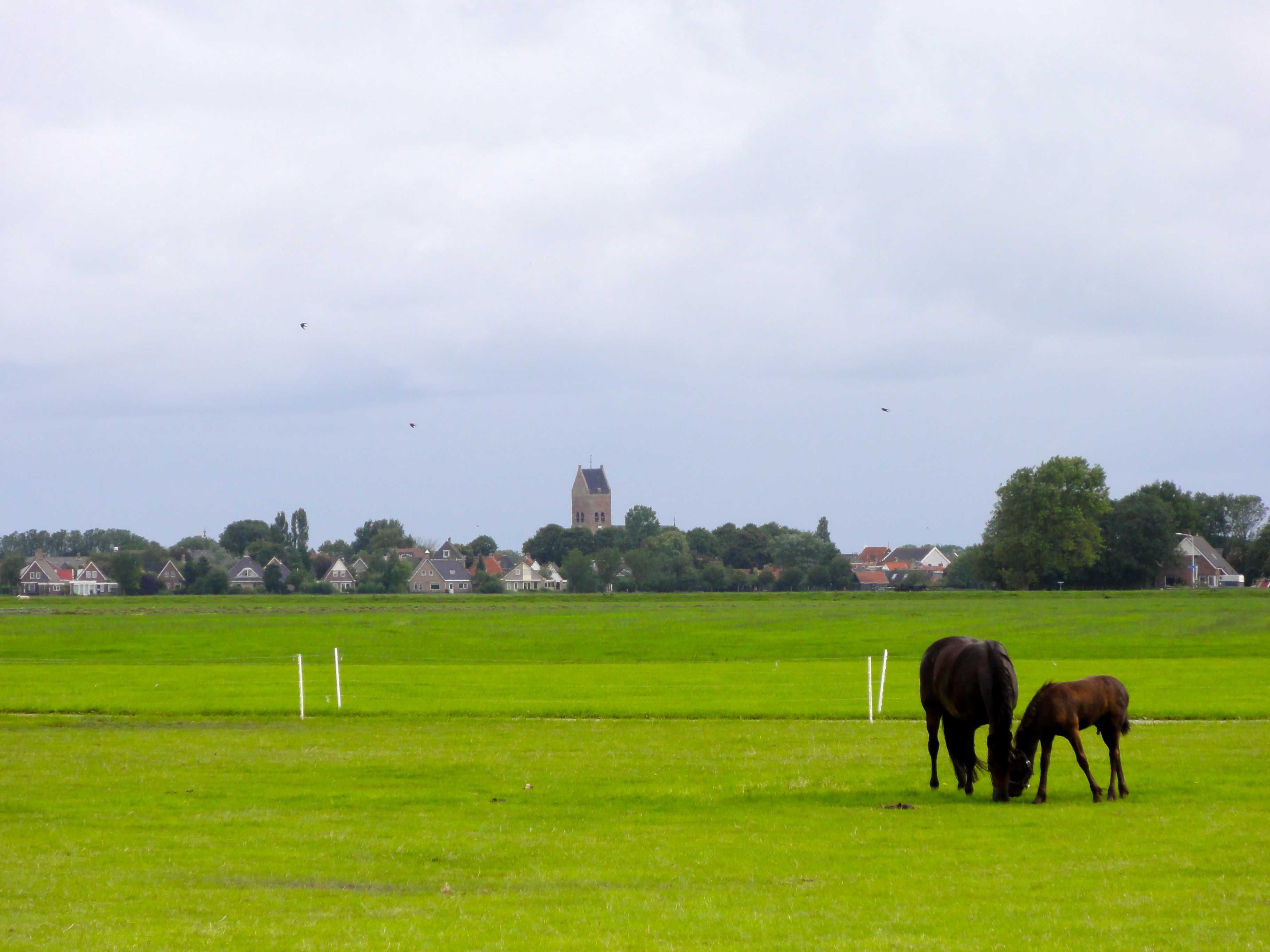 Foto van Pingjum