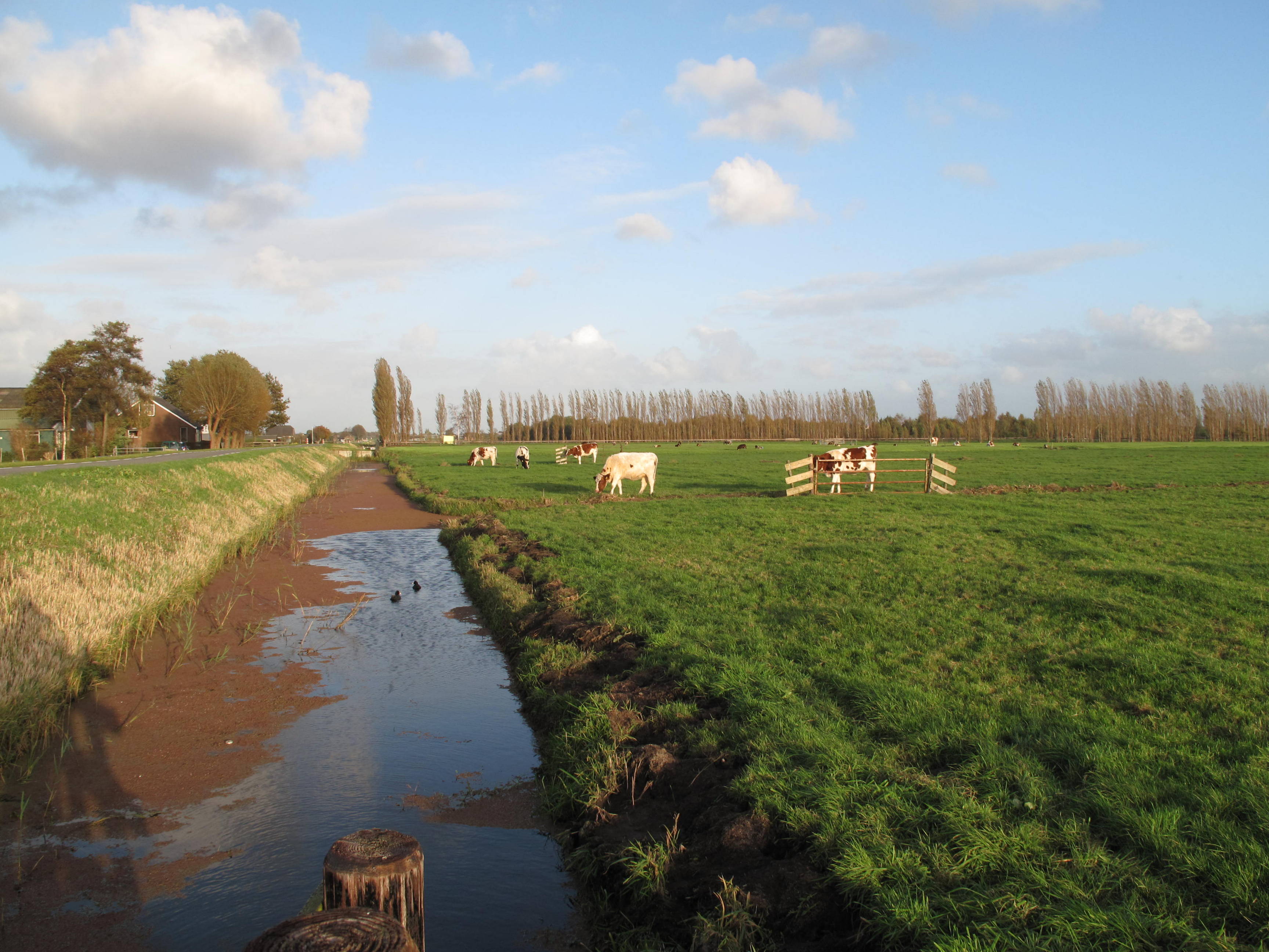 Foto van Roelofarendsveen