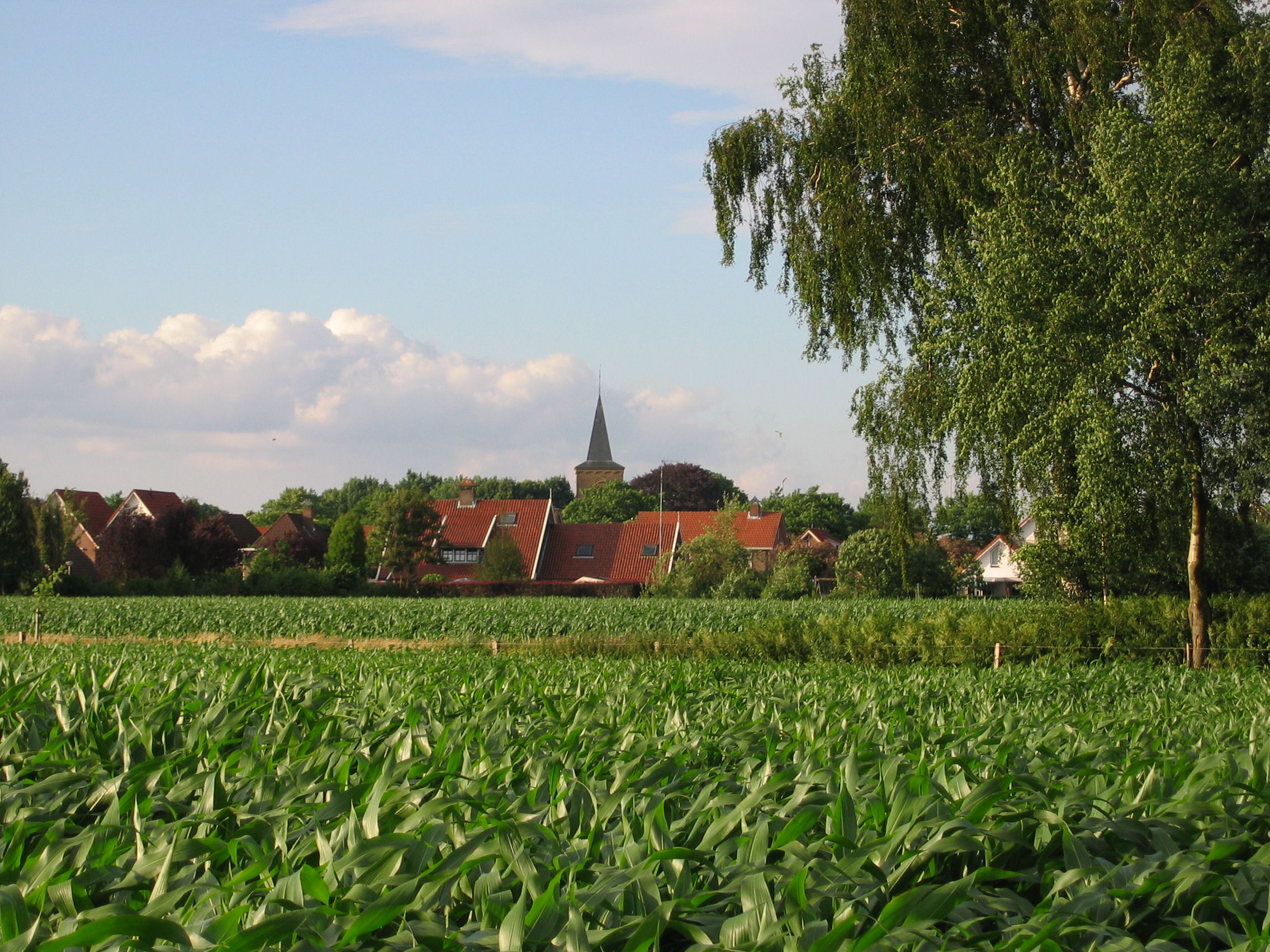 Foto van Rossum